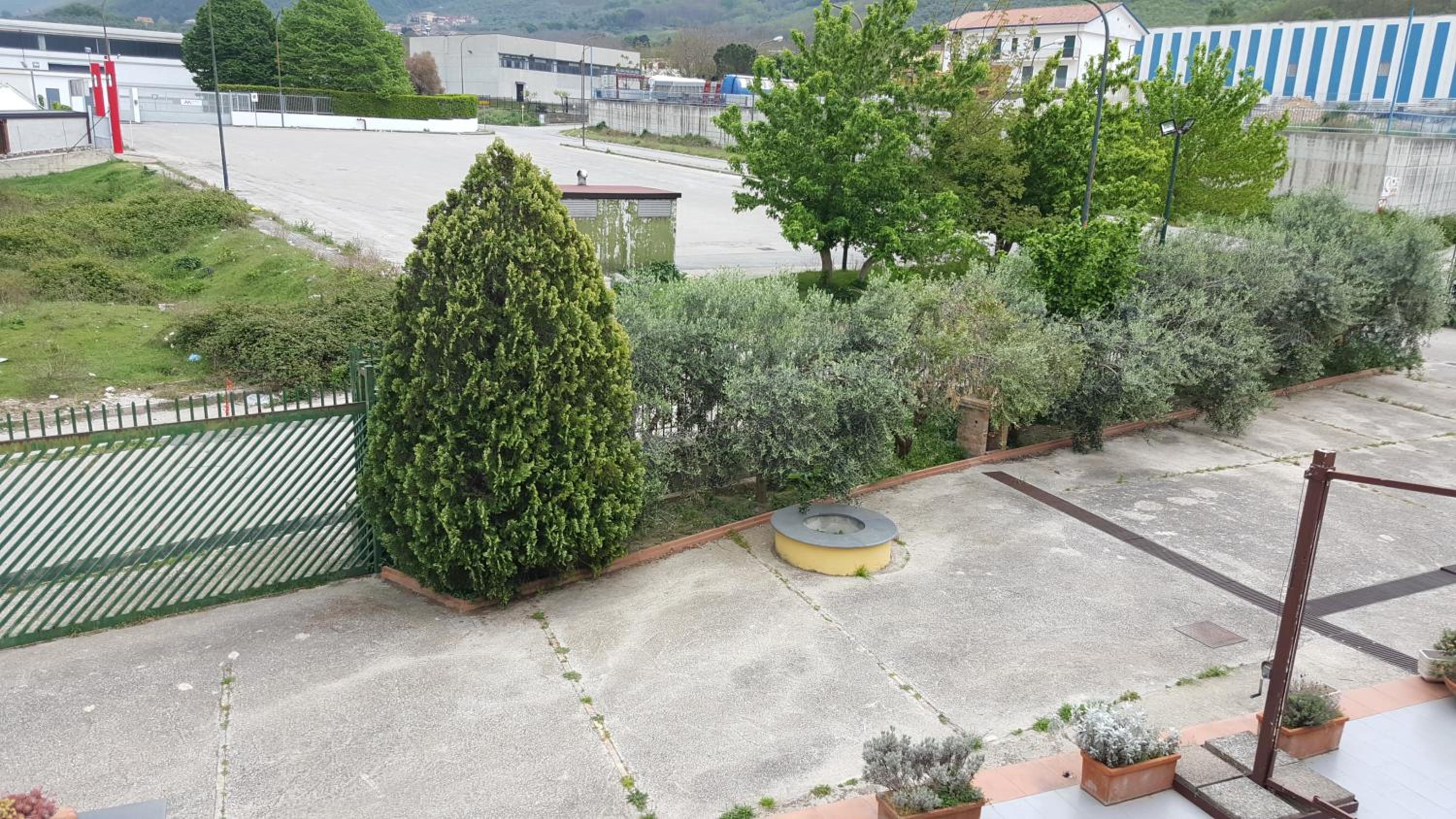 Alfa Due Mr.A. view 2