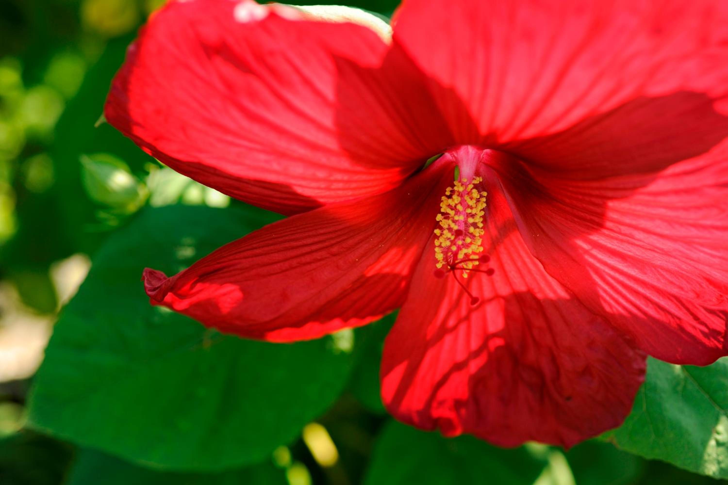 Gästehaus Krappel