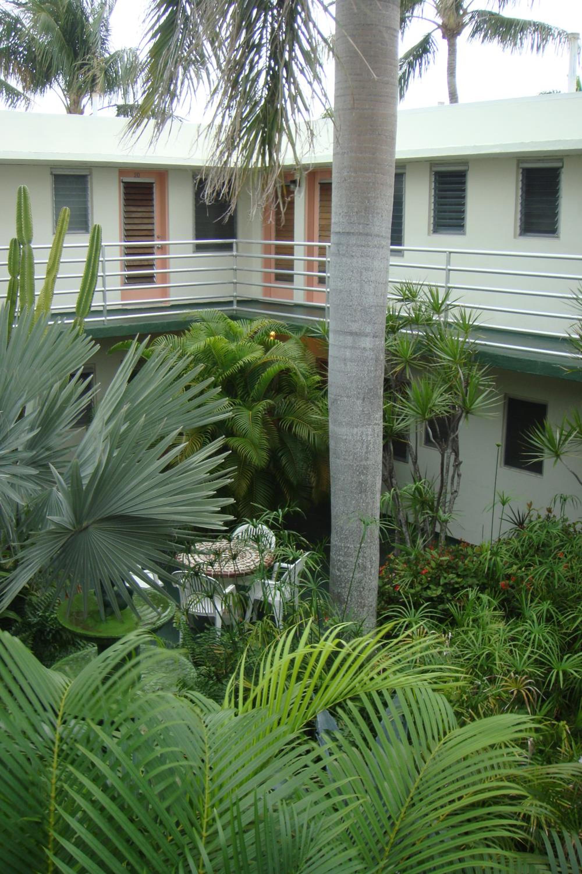 Photo 17