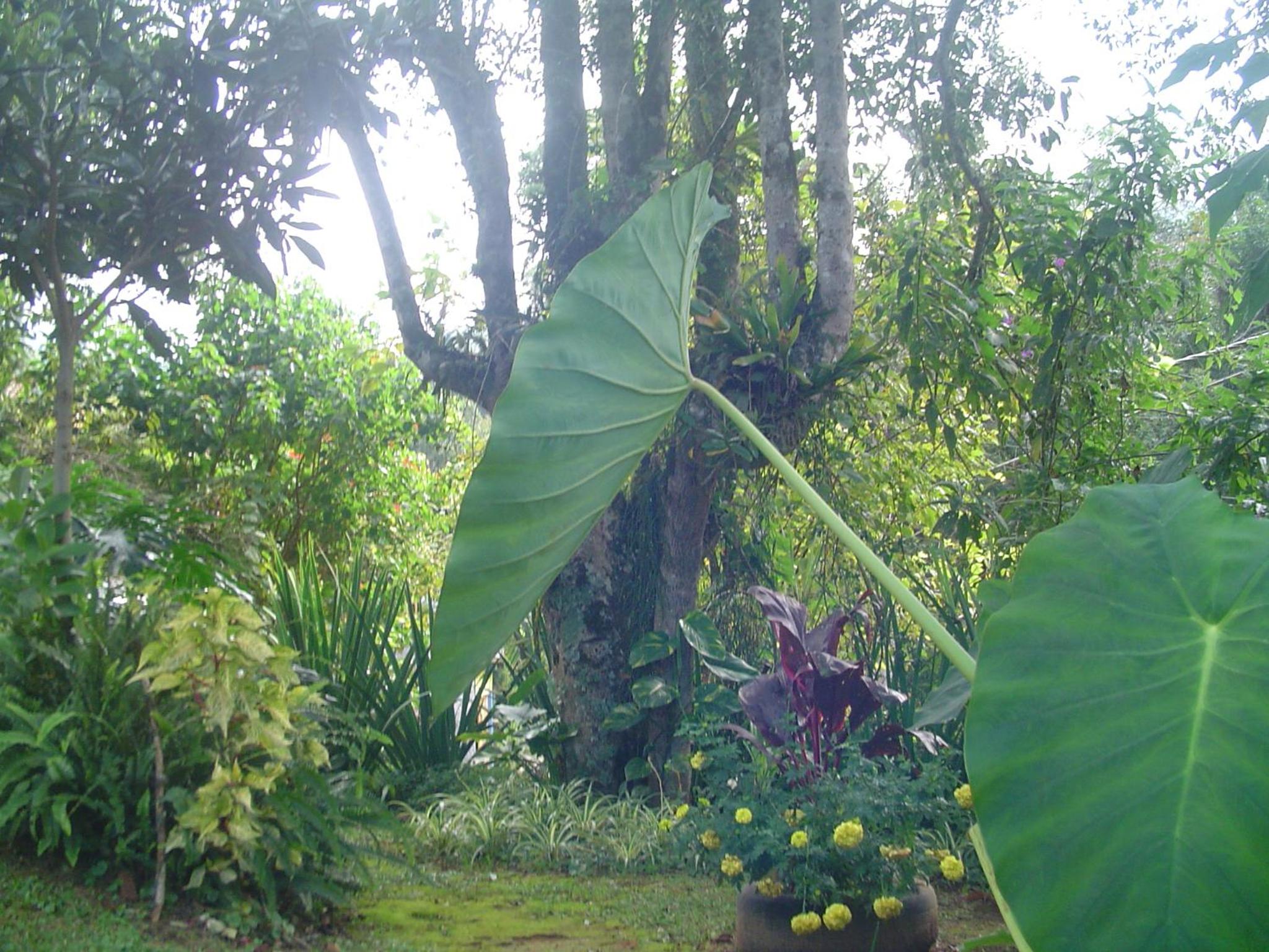 Photo 47
