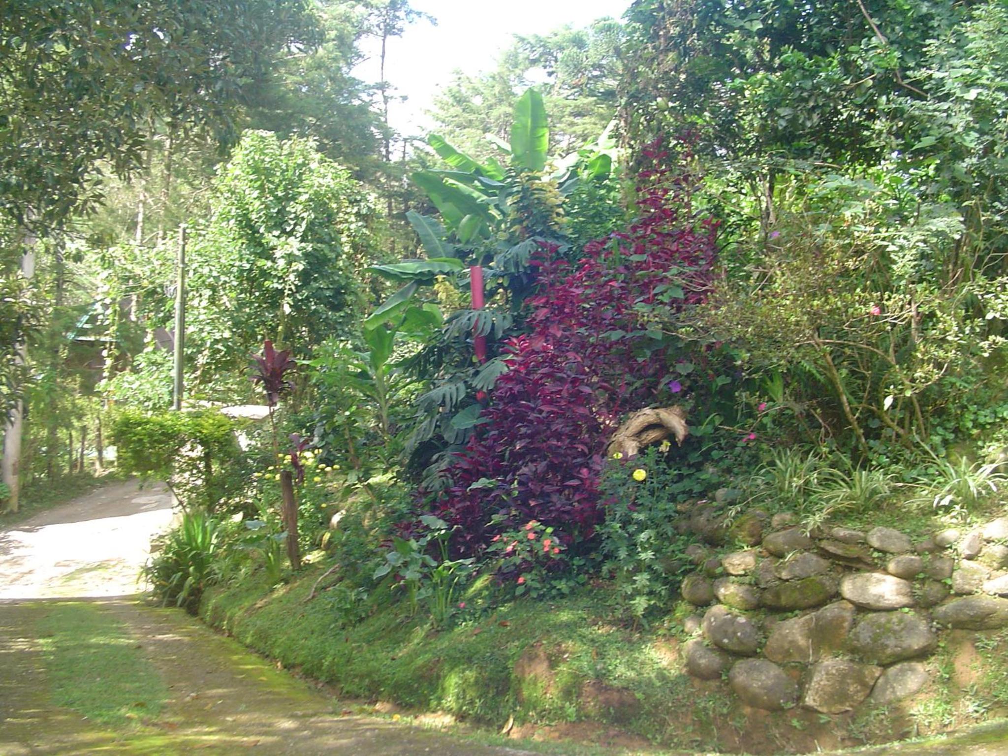 Photo 46