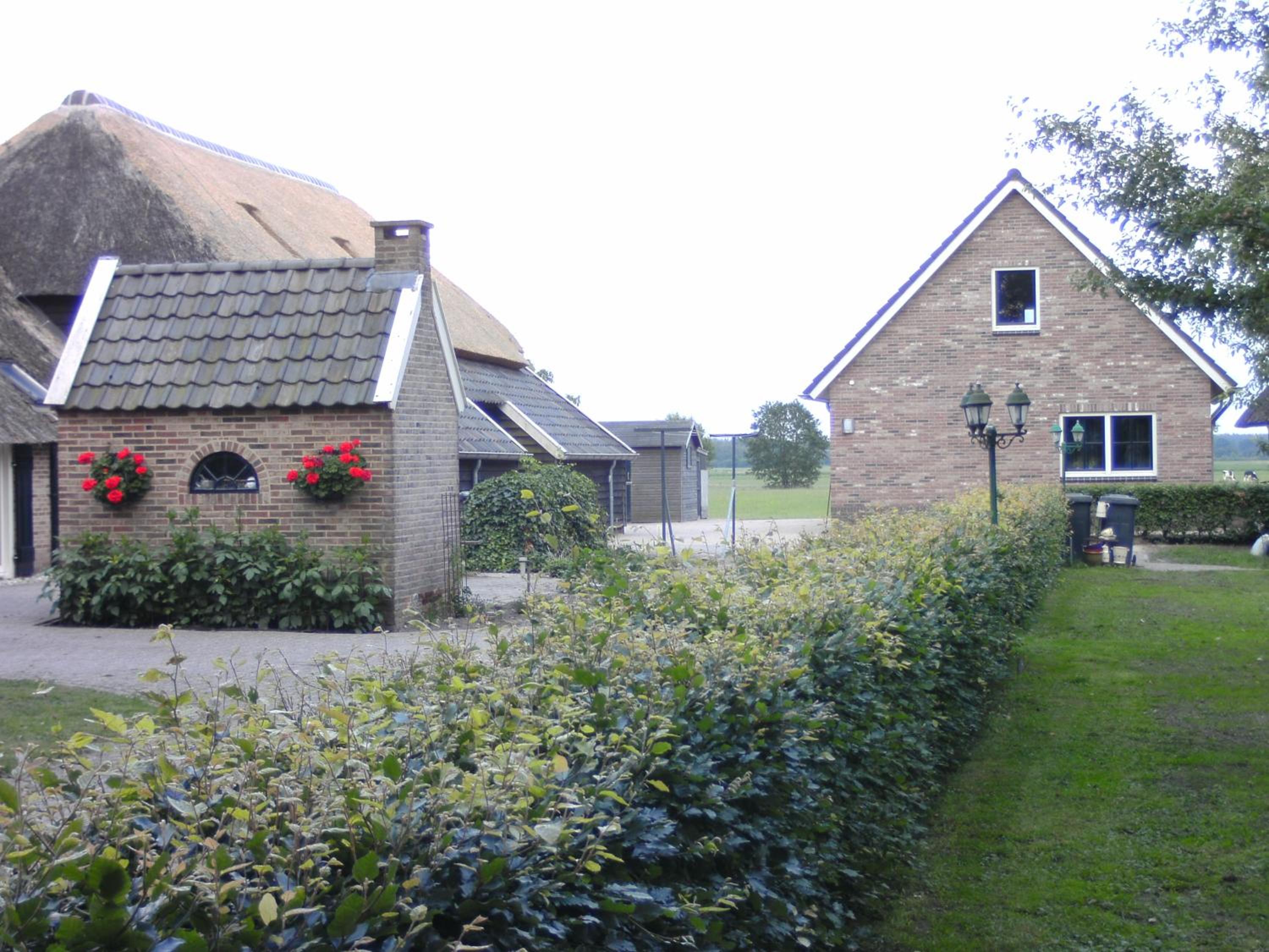 Photo 40