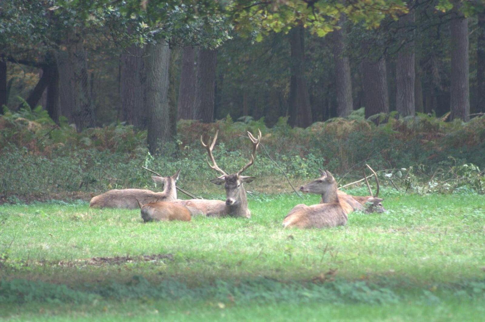 Het Roodborstje view 2