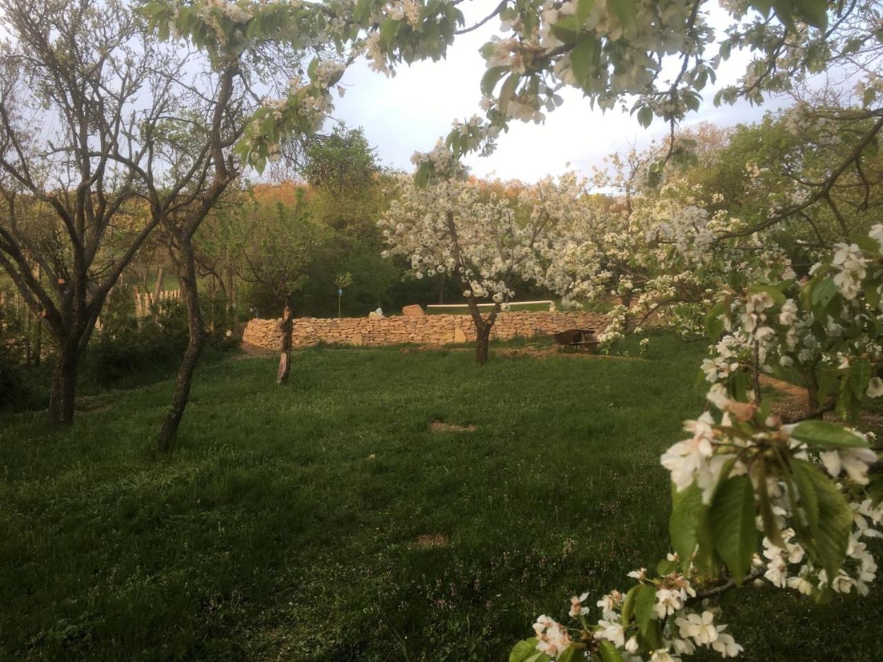 Photo 37
