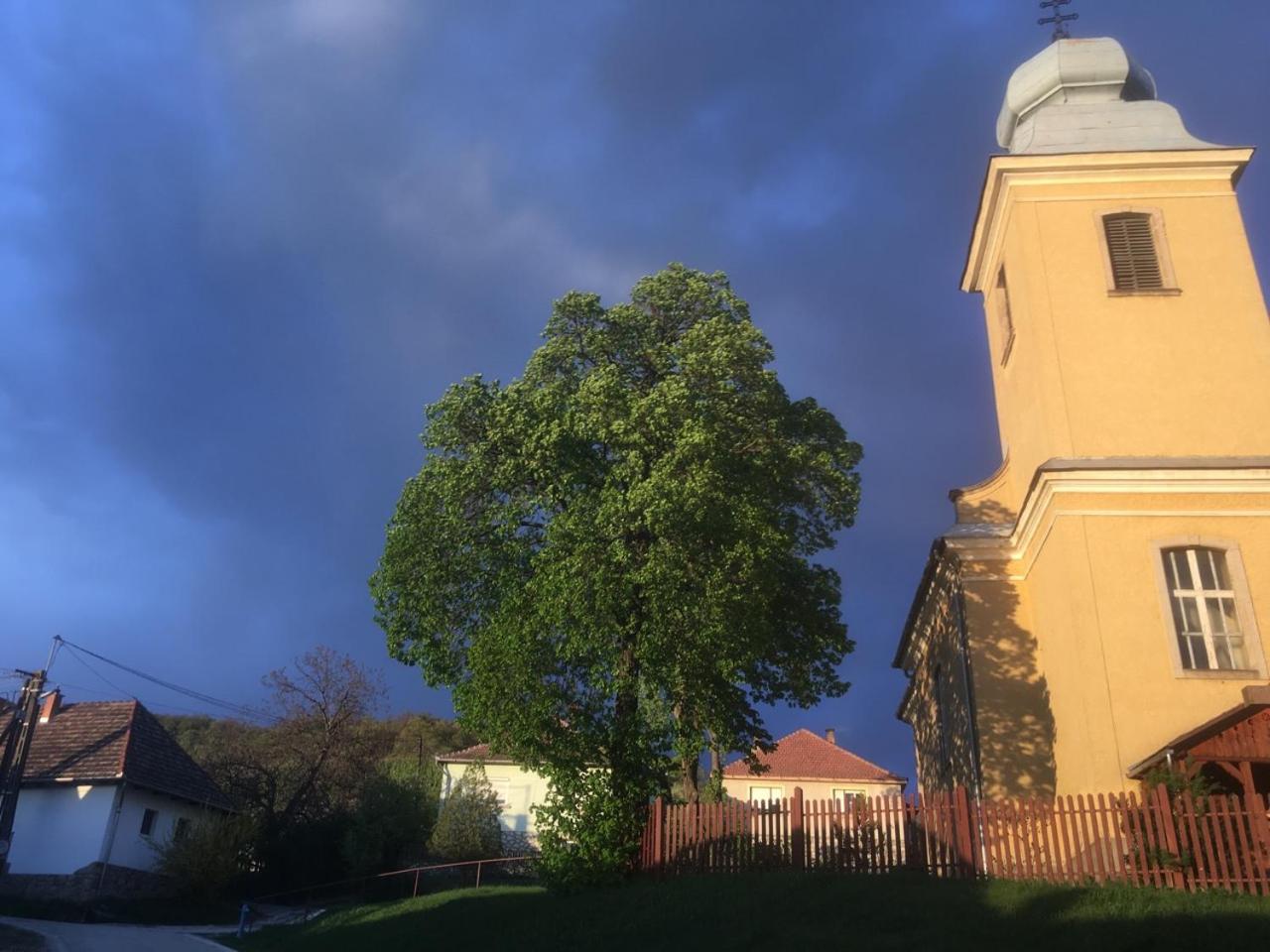 Photo 31