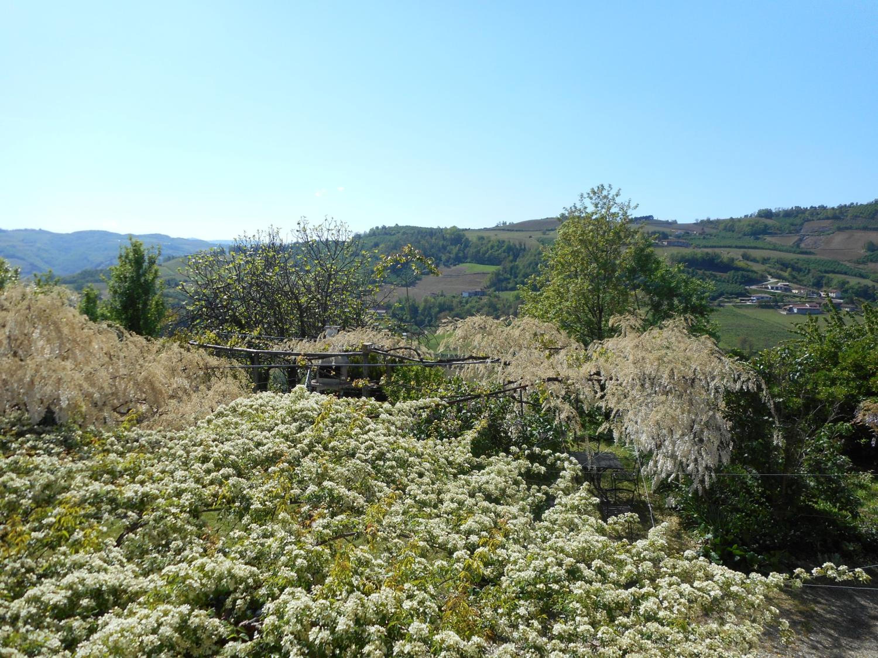 Agriturismo Cascina Serra