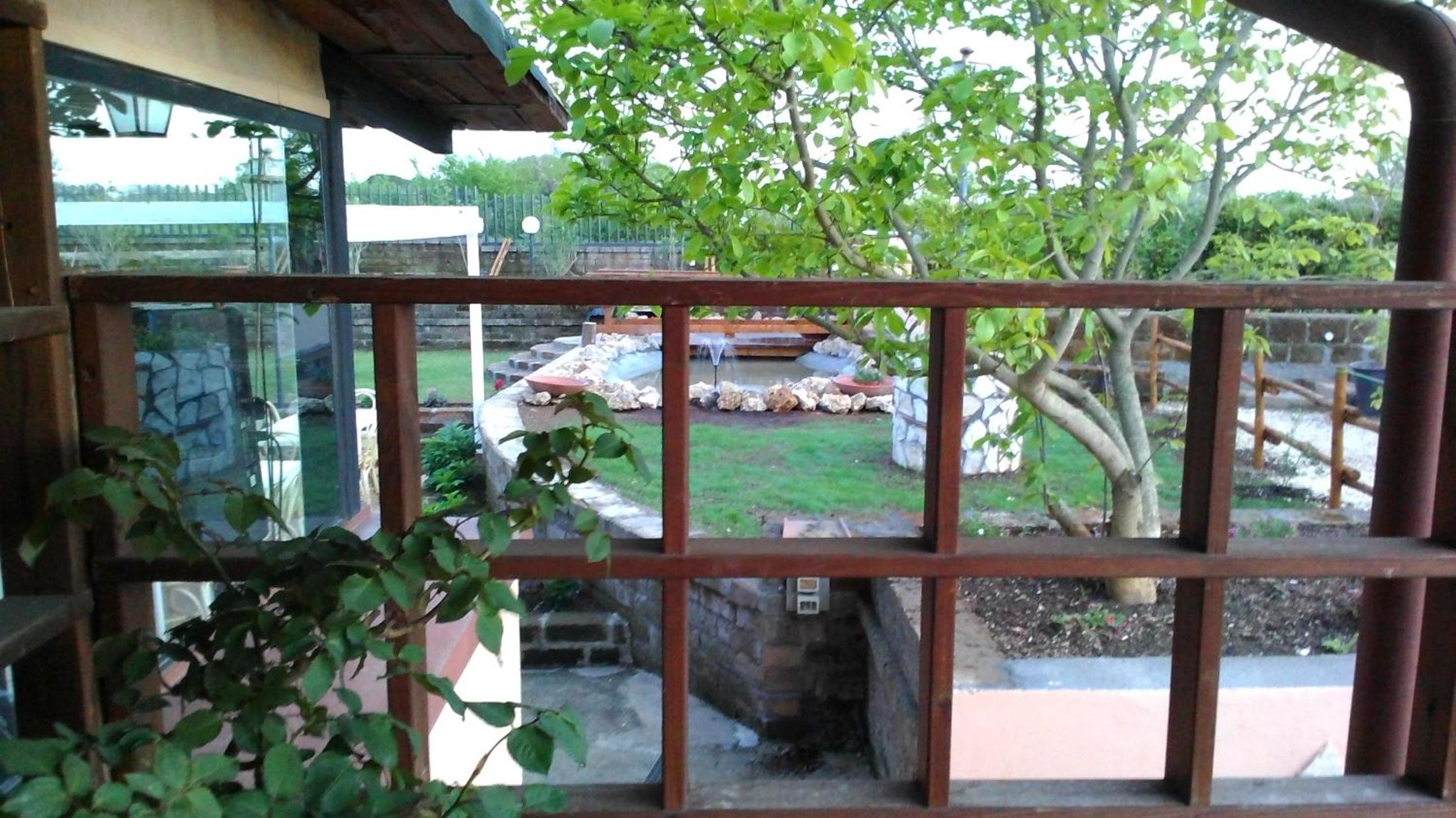 Photo 17