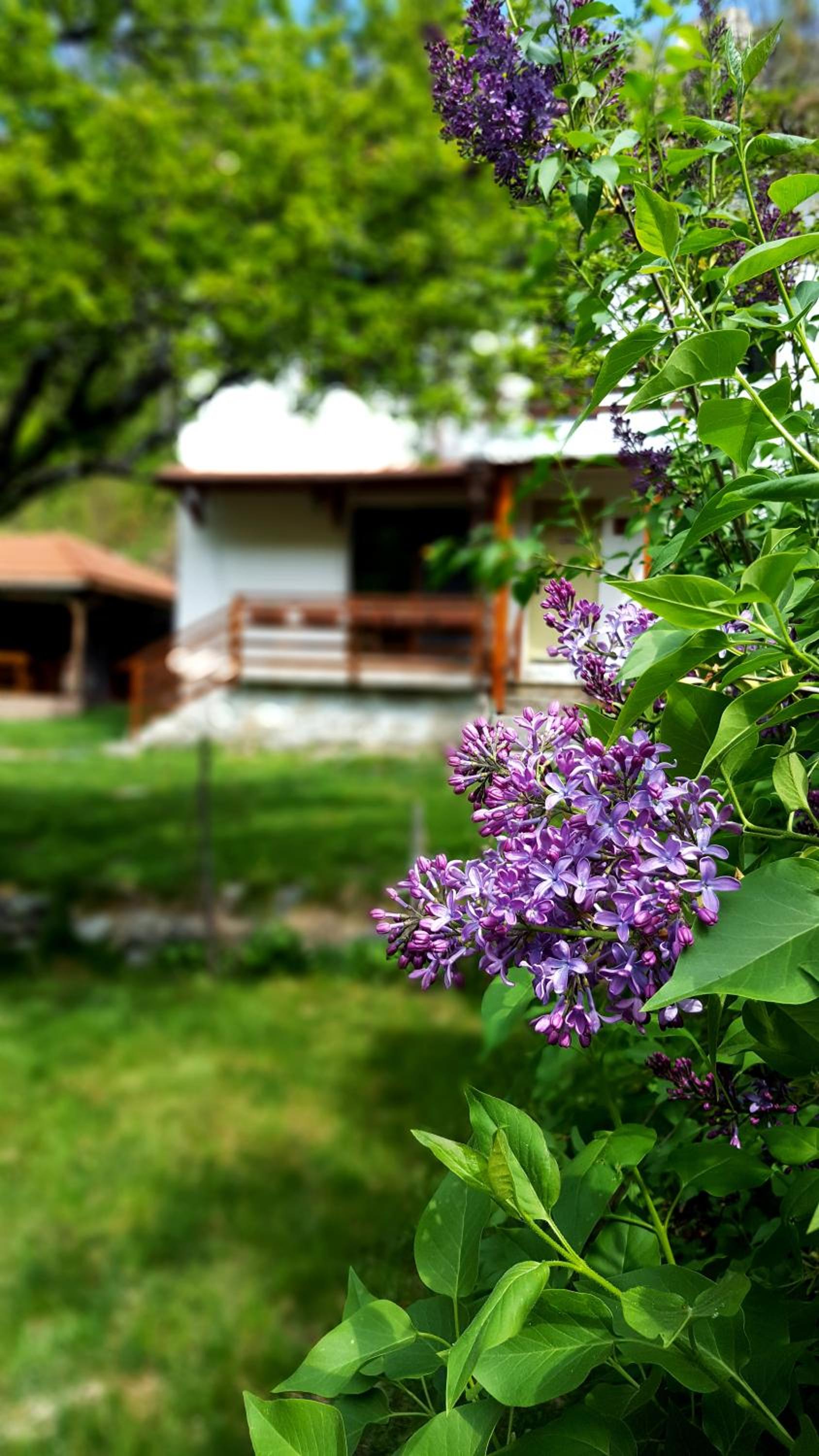 Kirilova House view 4