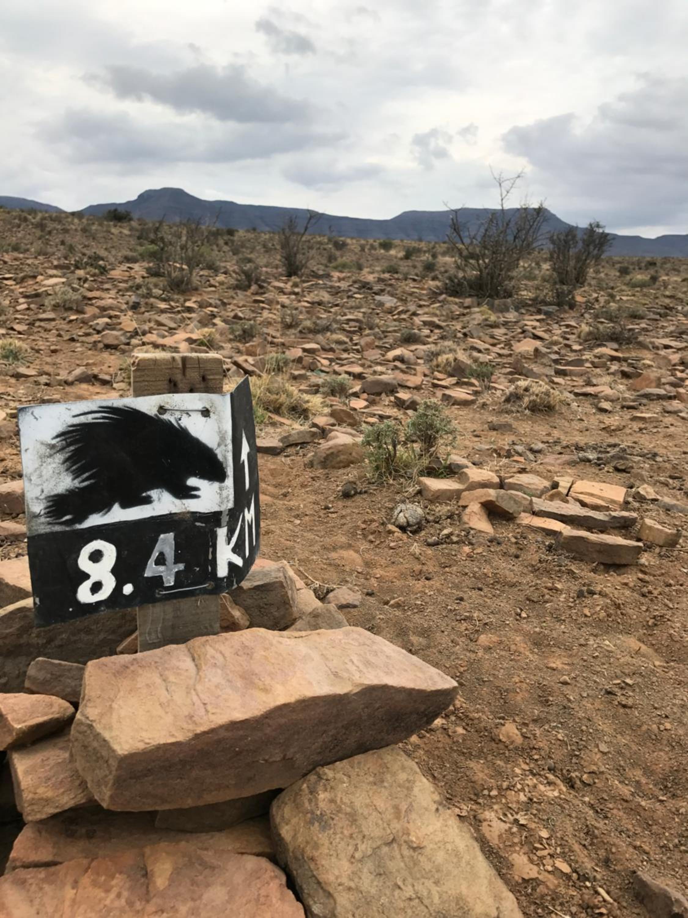 Photo 52