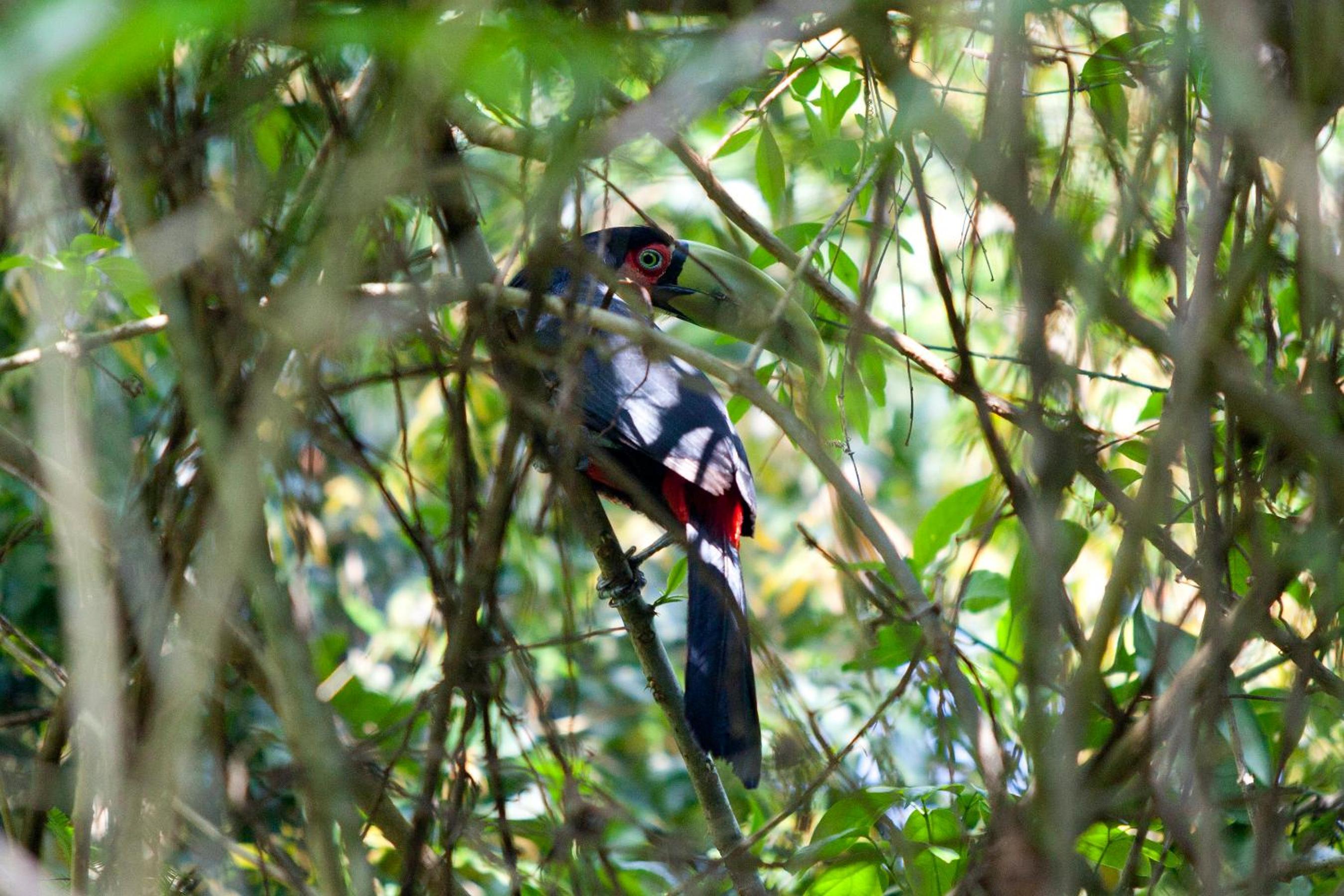 Chacra del Agua Reserva Privada