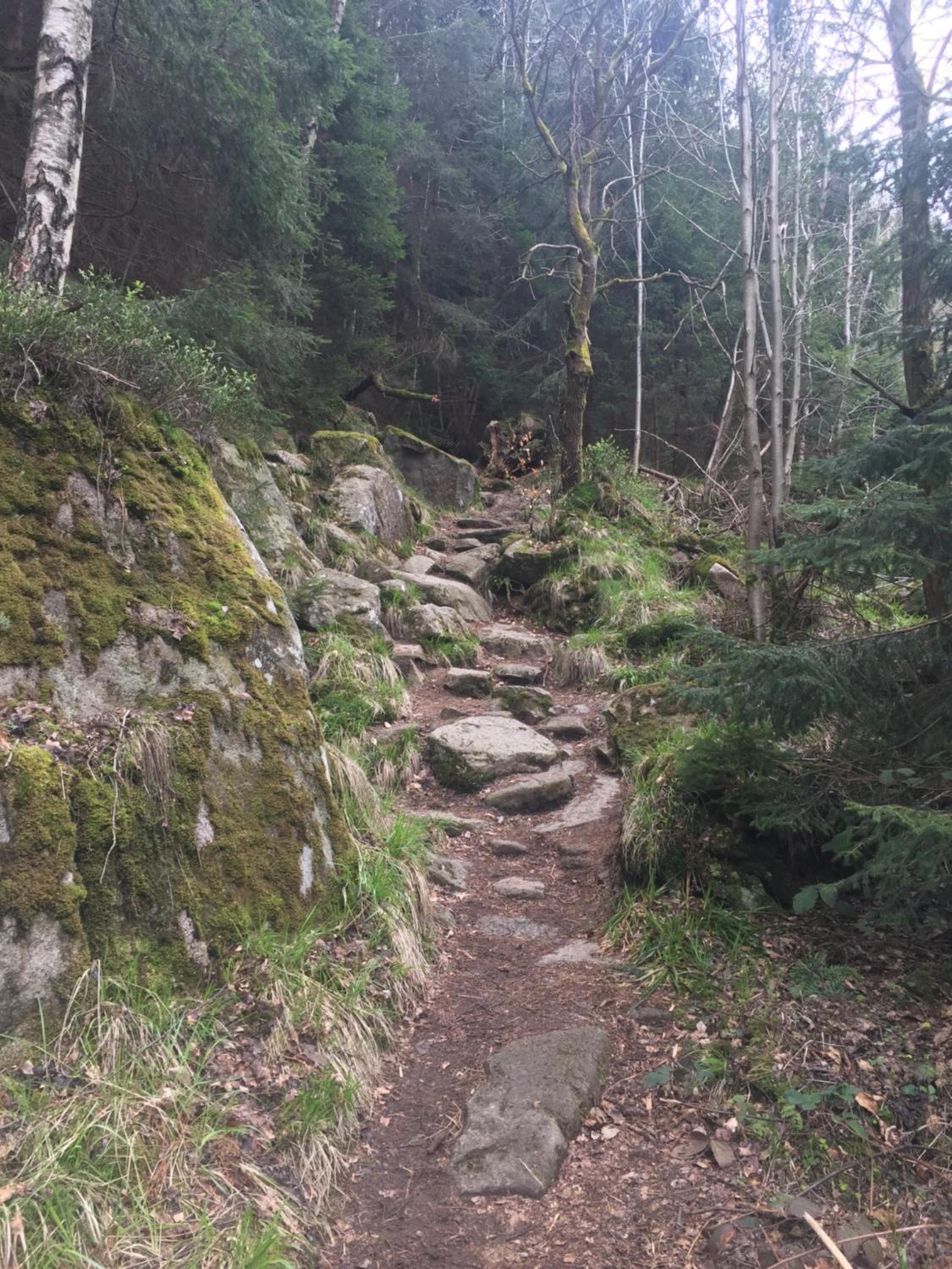 Blockhaus an der Skiwiese Braunlage