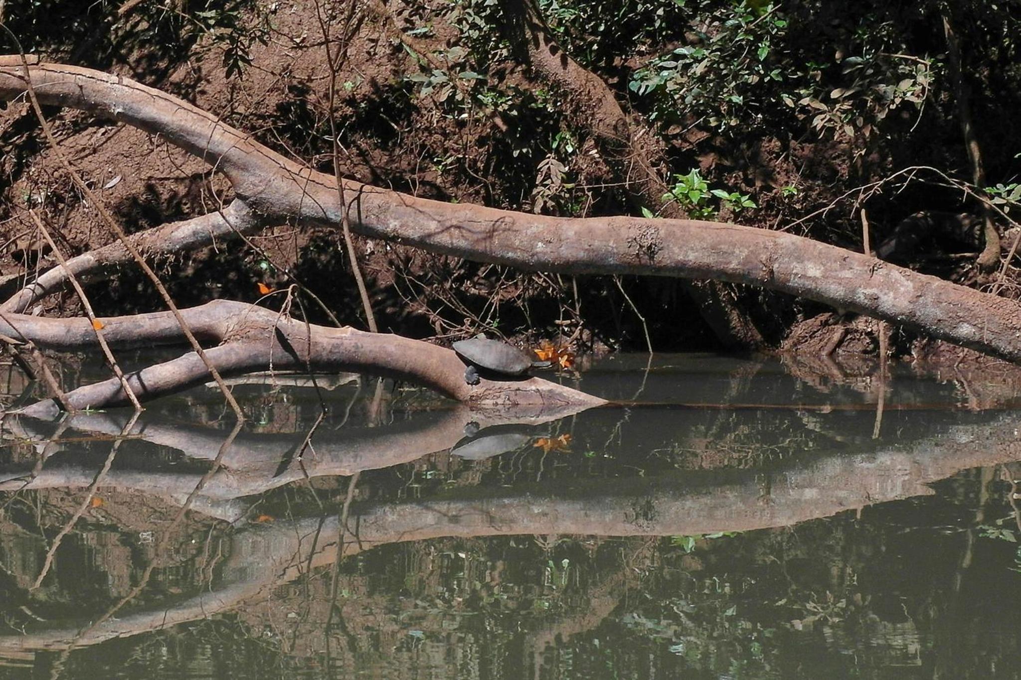 Chacra del Agua Reserva Privada