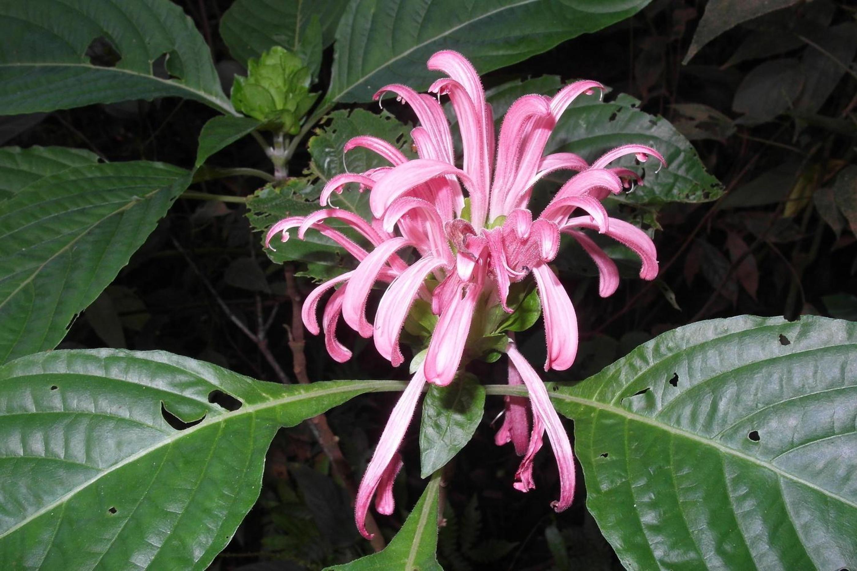 Chacra del Agua Reserva Privada