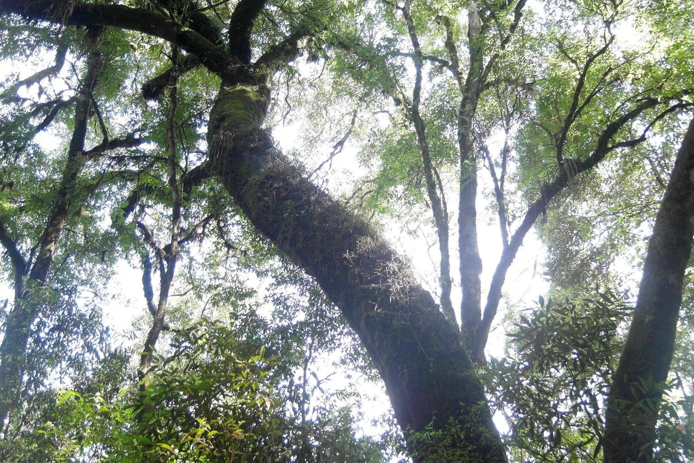 Chacra del Agua Reserva Privada