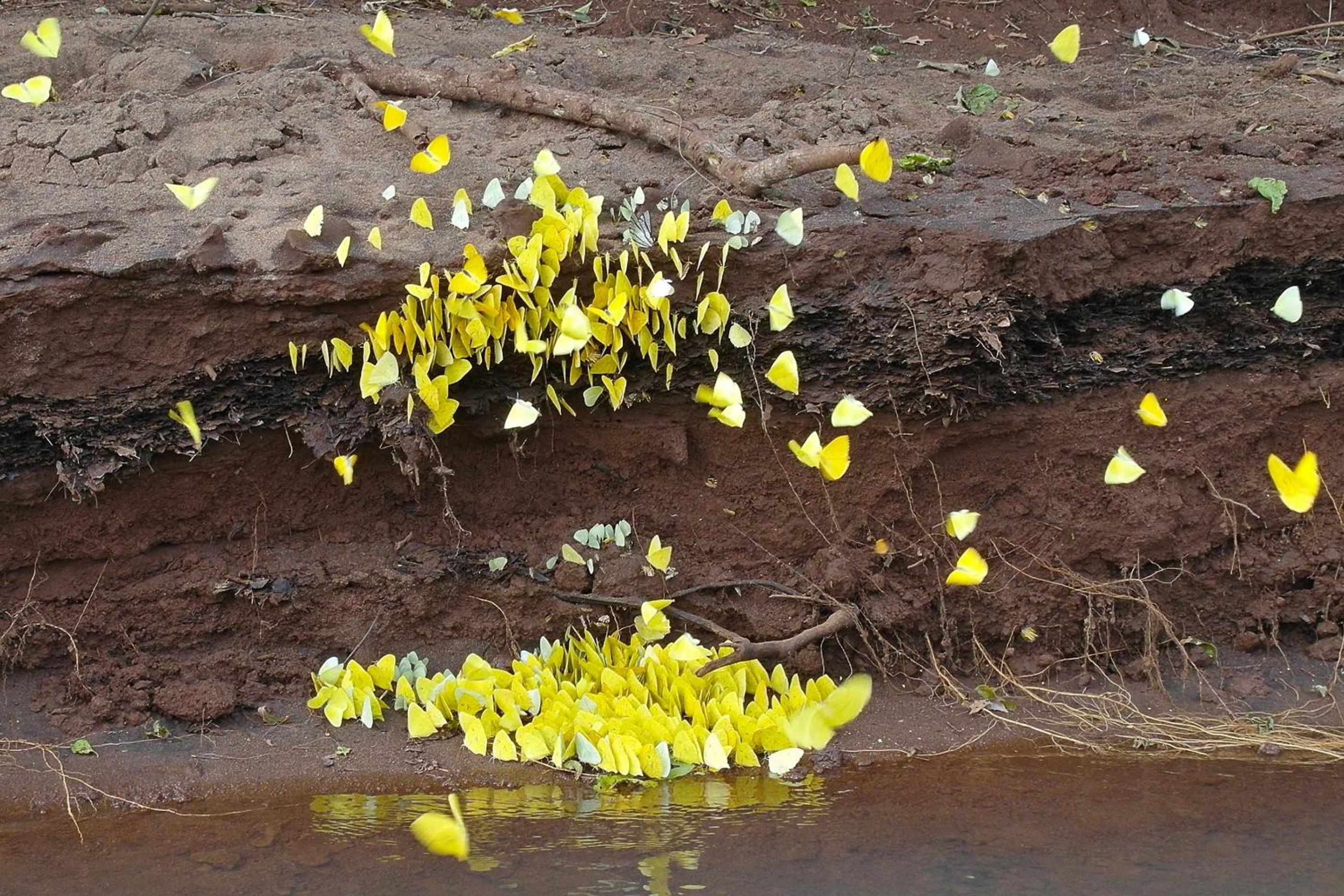 Chacra del Agua Reserva Privada