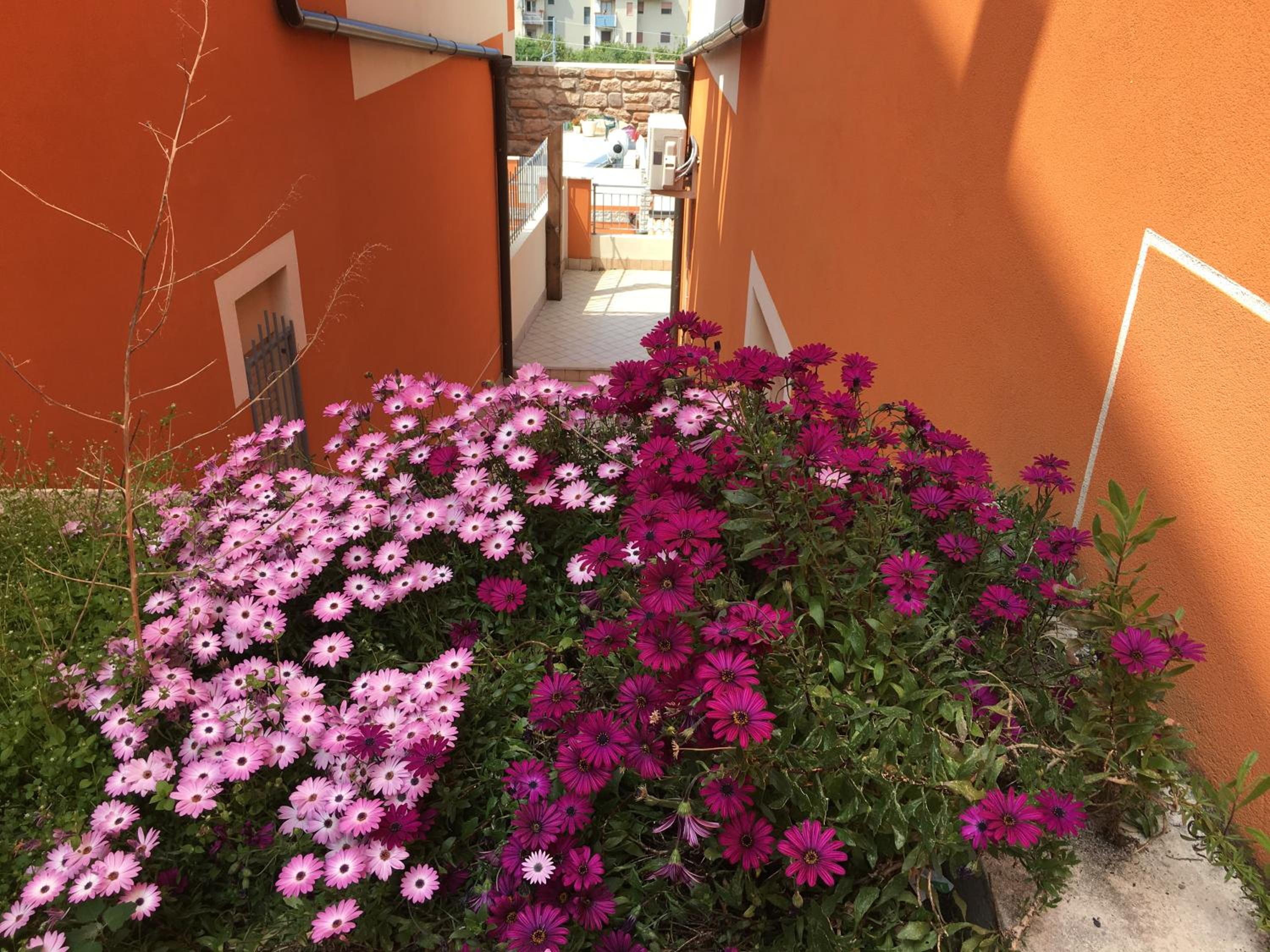 Apartment Olga view 5