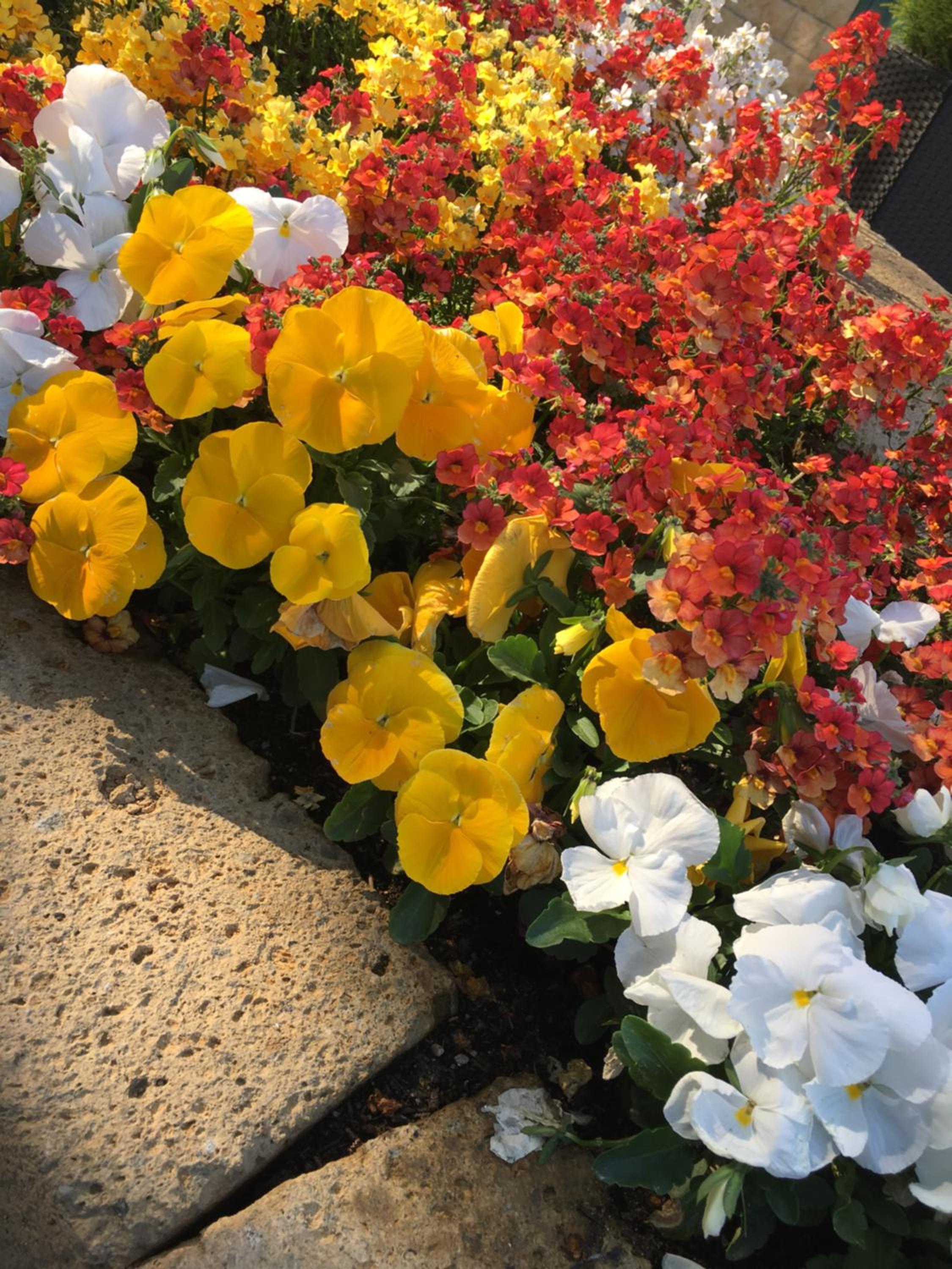 Photo 31