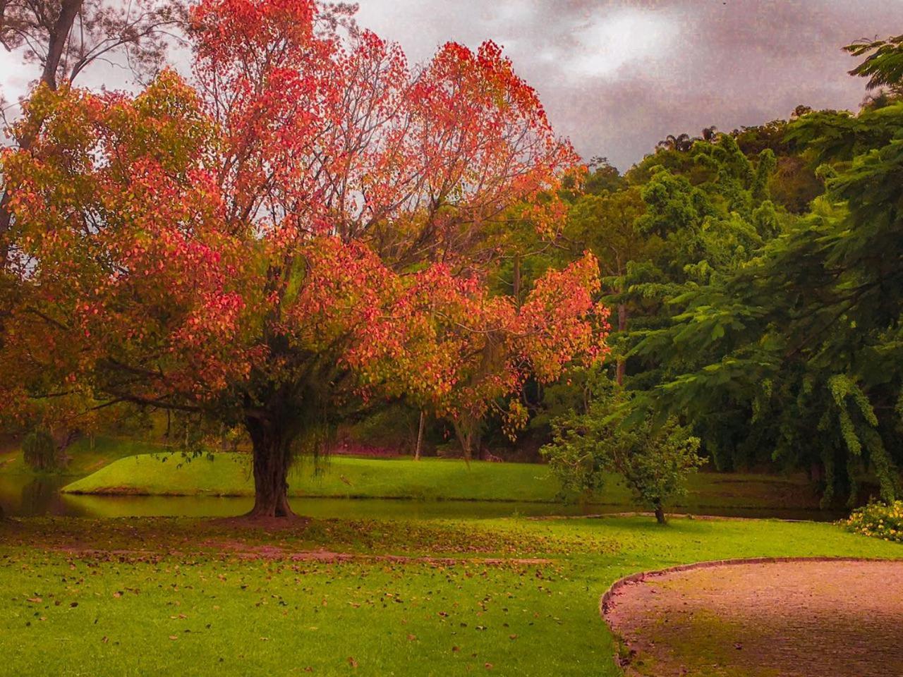 Fazenda Cachoeira Grande