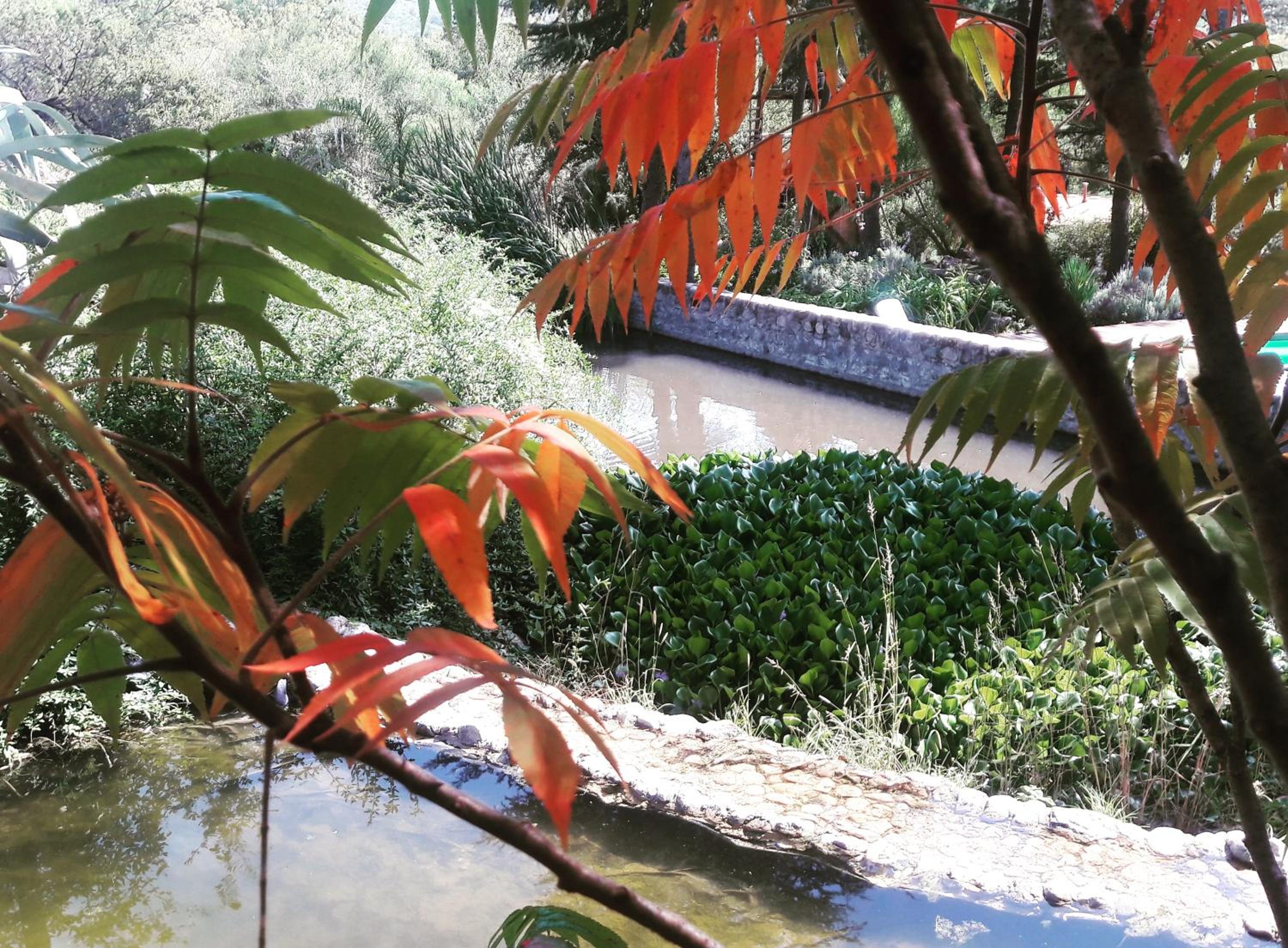 Quinta Santana