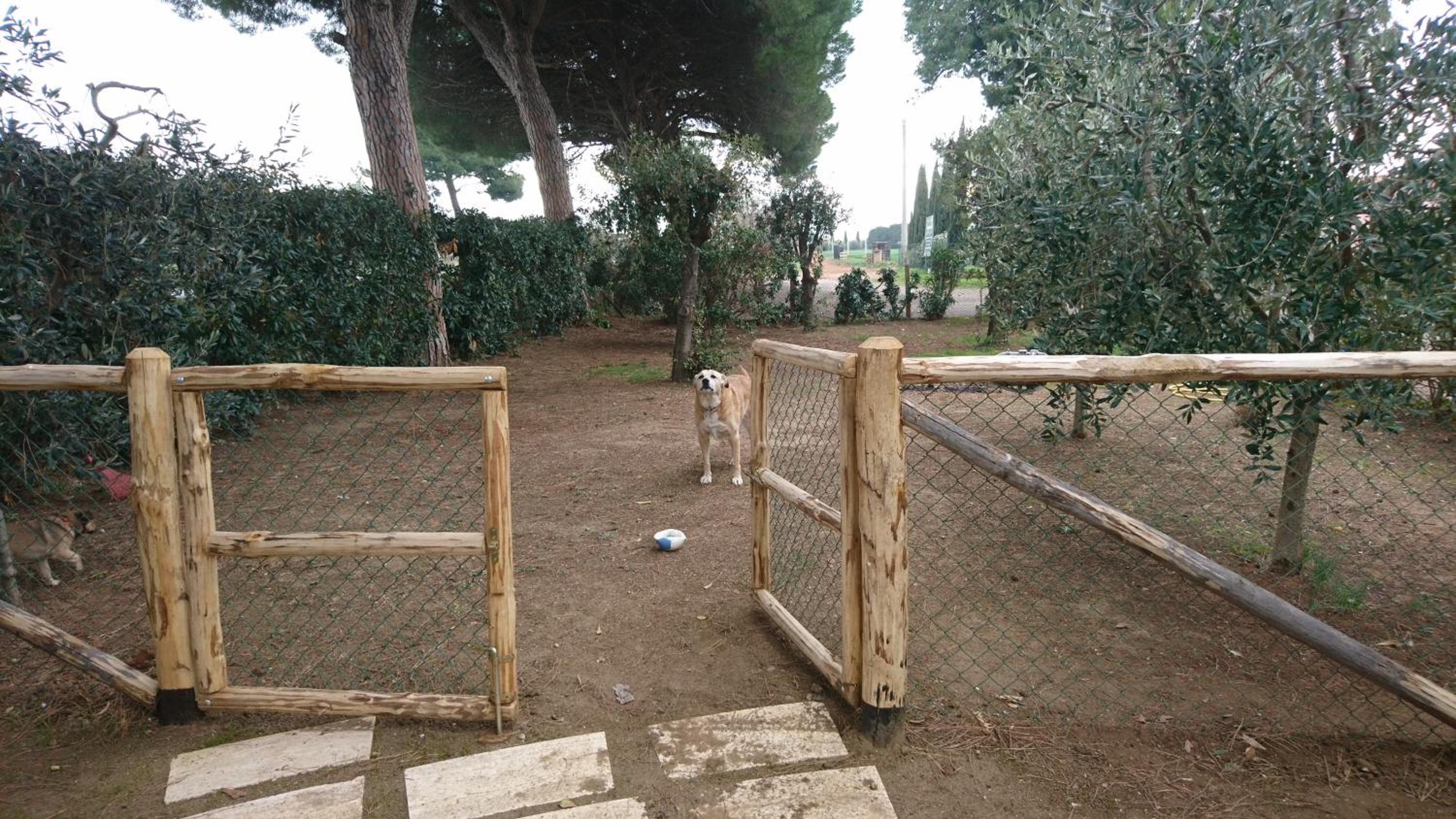 Photo 44