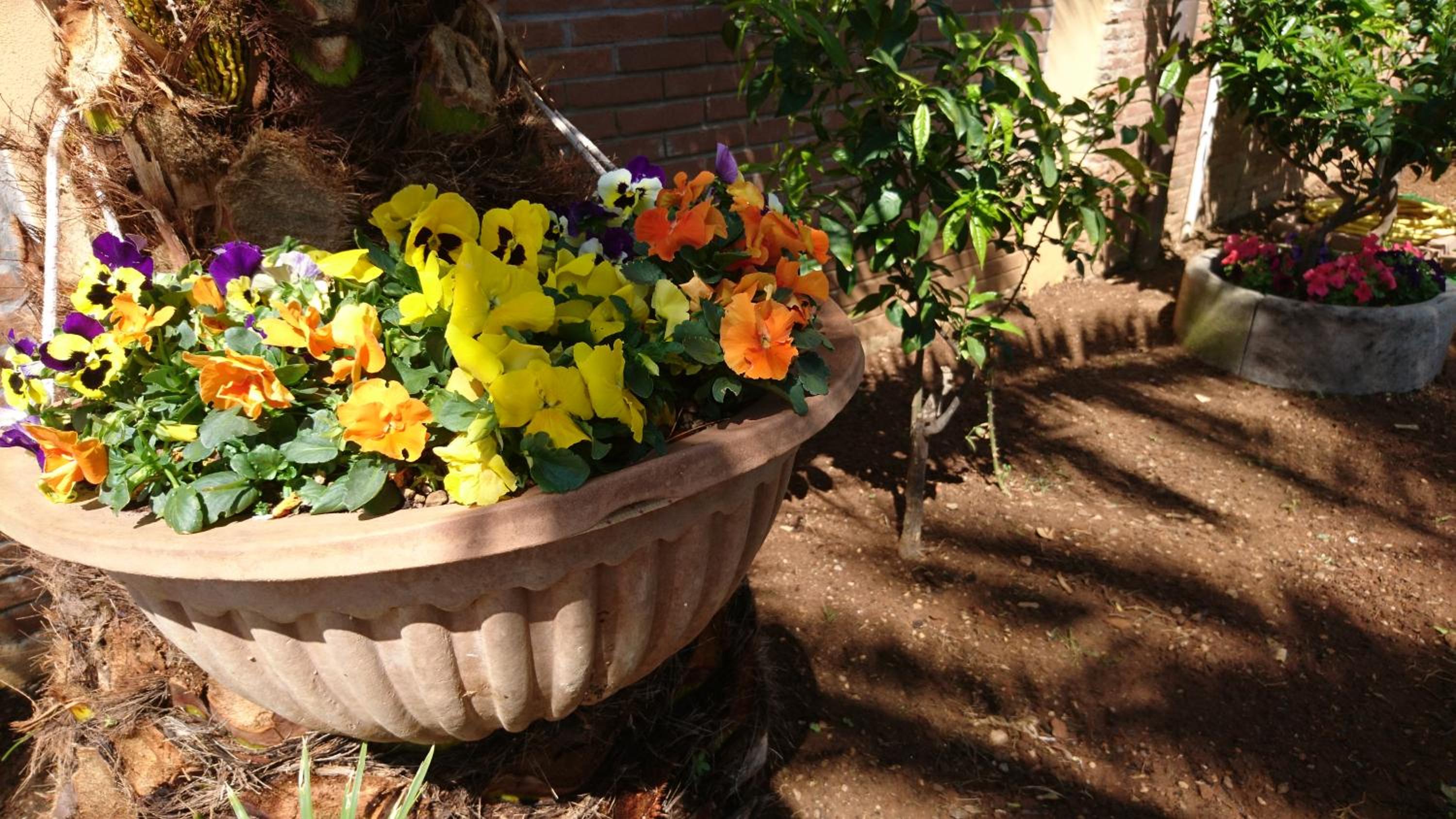 Photo 42
