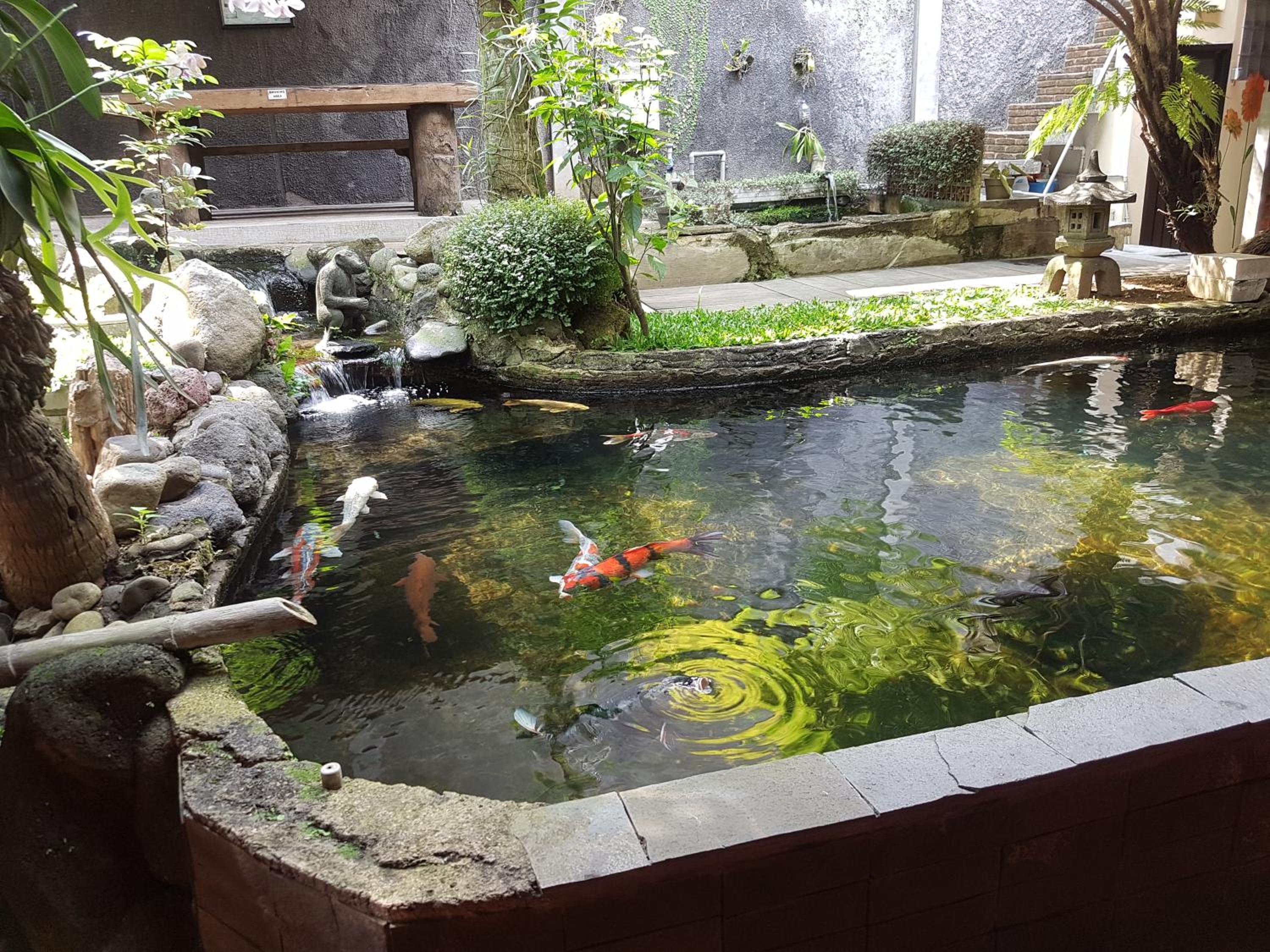 Peye Guesthouse