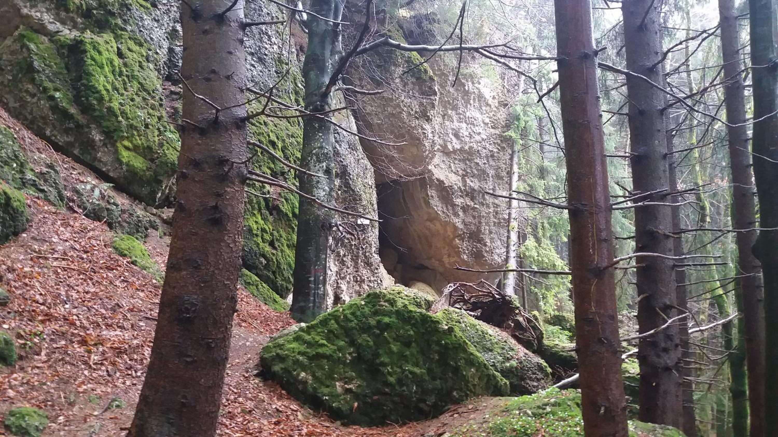 FeWo Alpenfreude mit Hallenbad