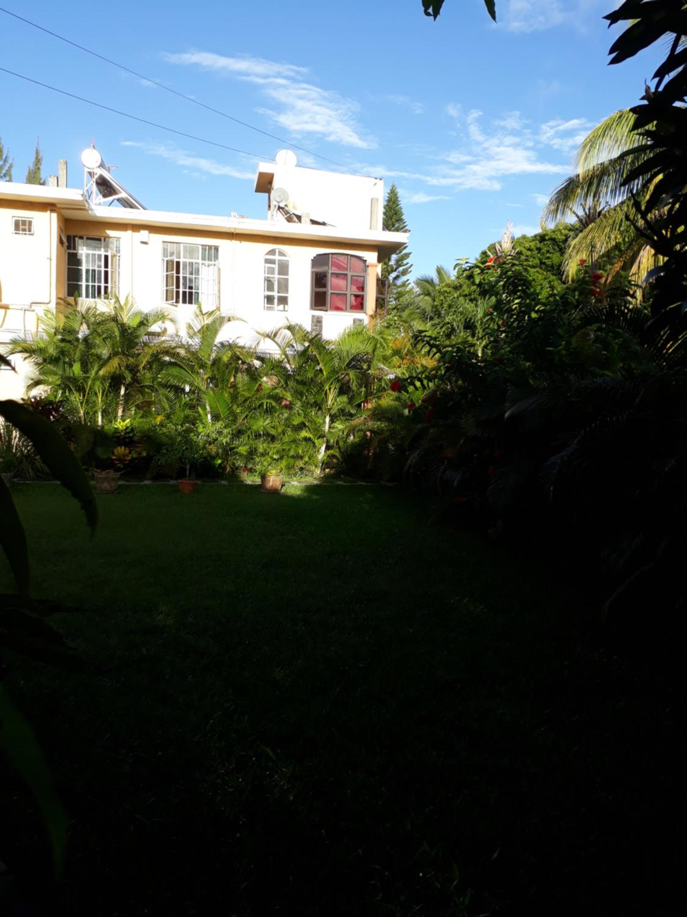 Photo 46