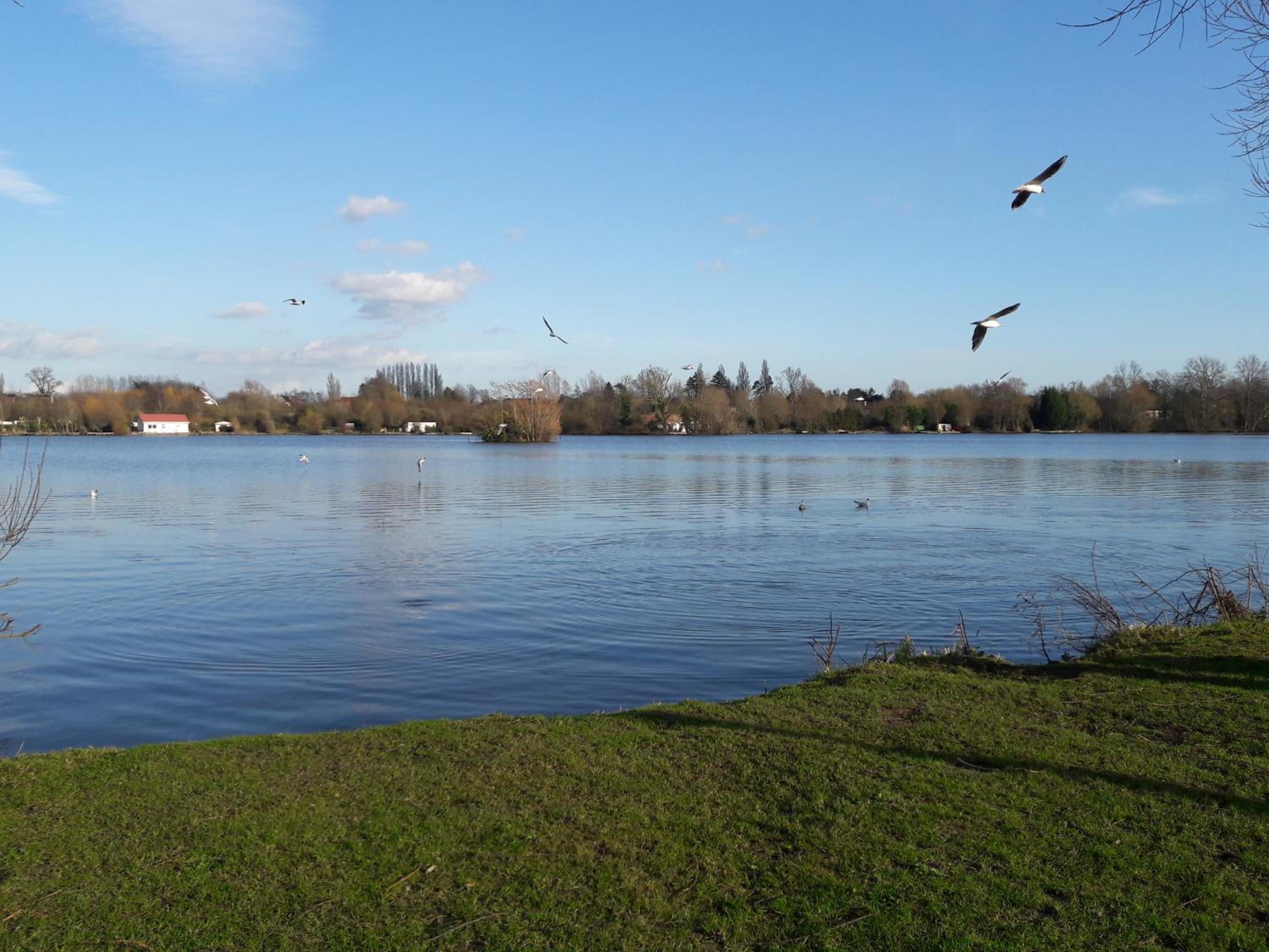 Photo 20