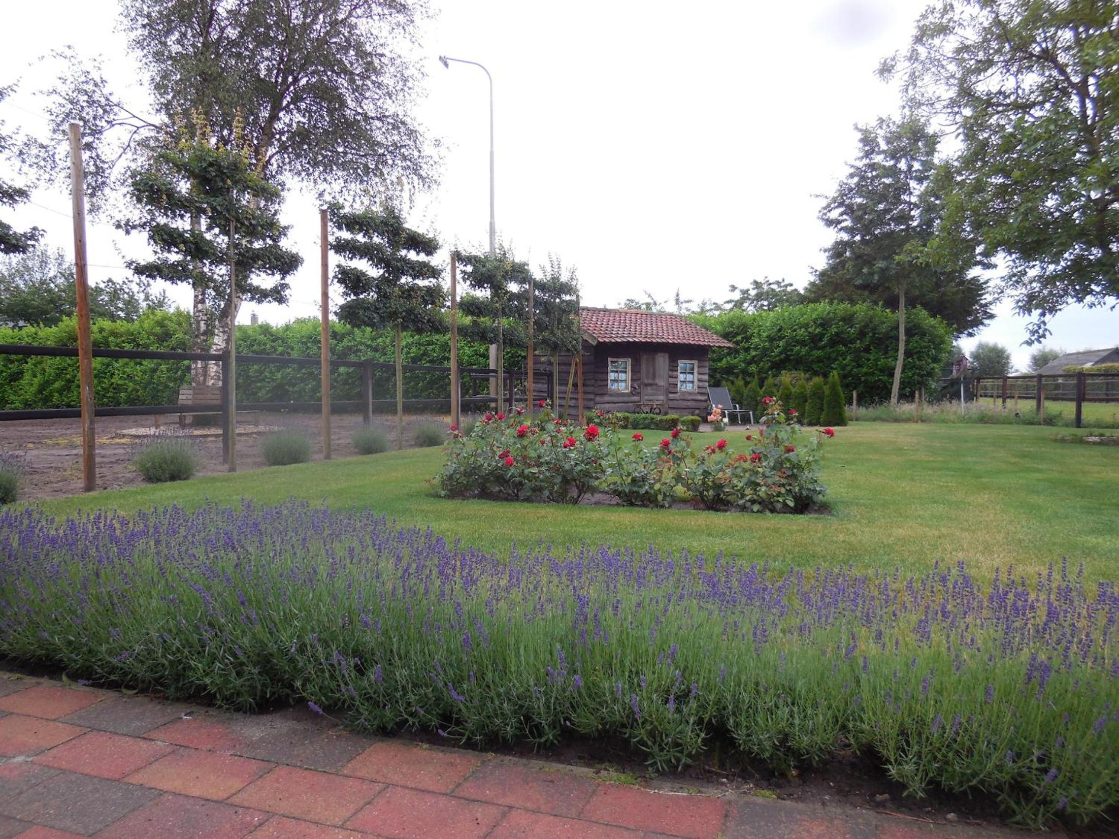 Photo 23