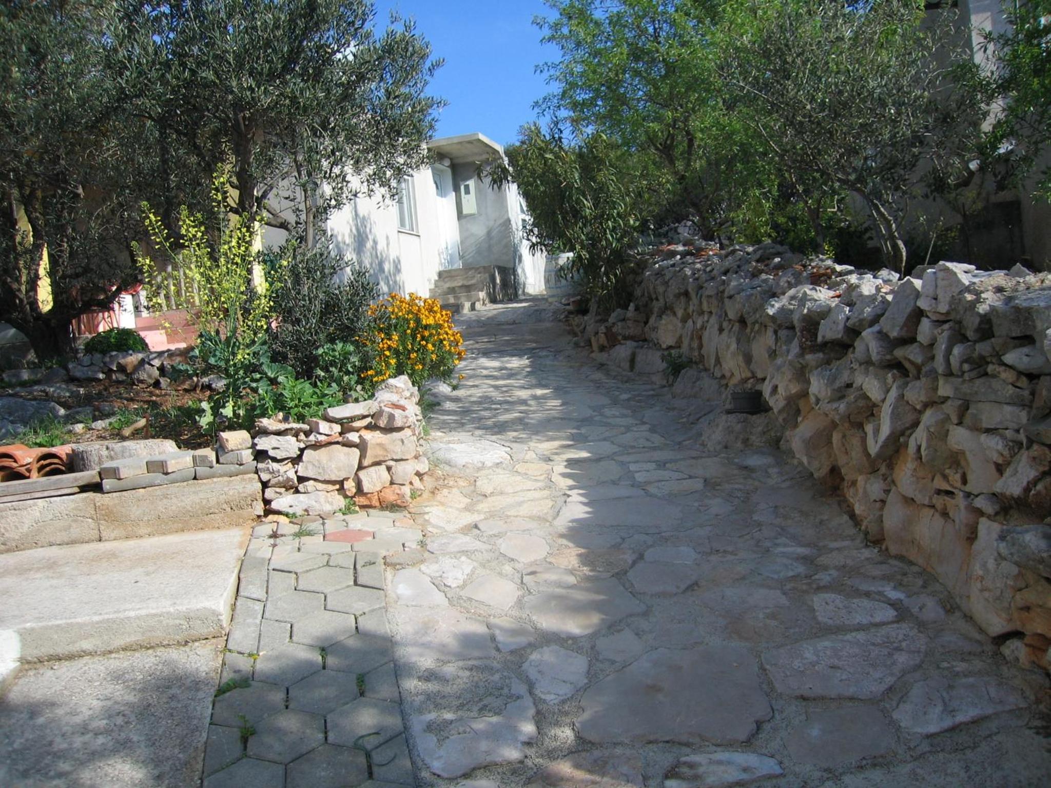 Photo 45