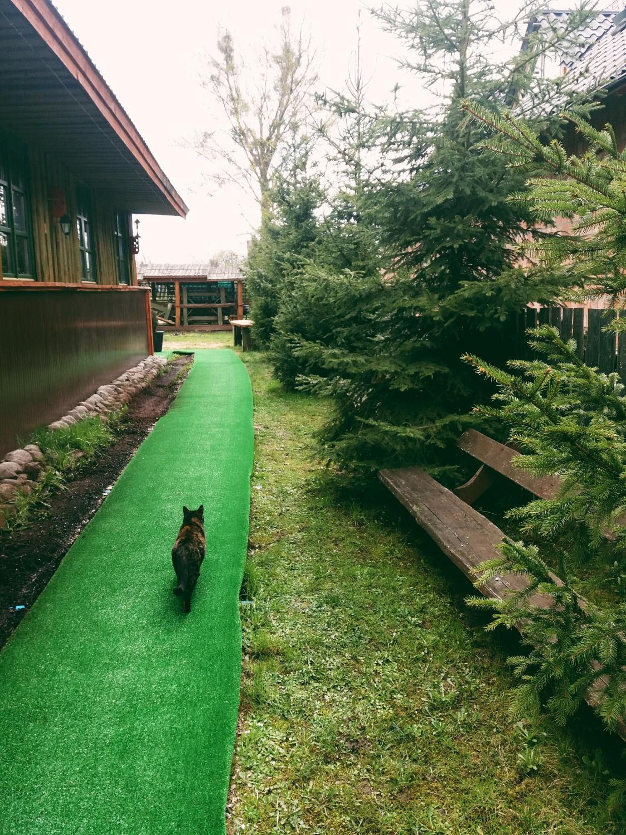 Ostoja