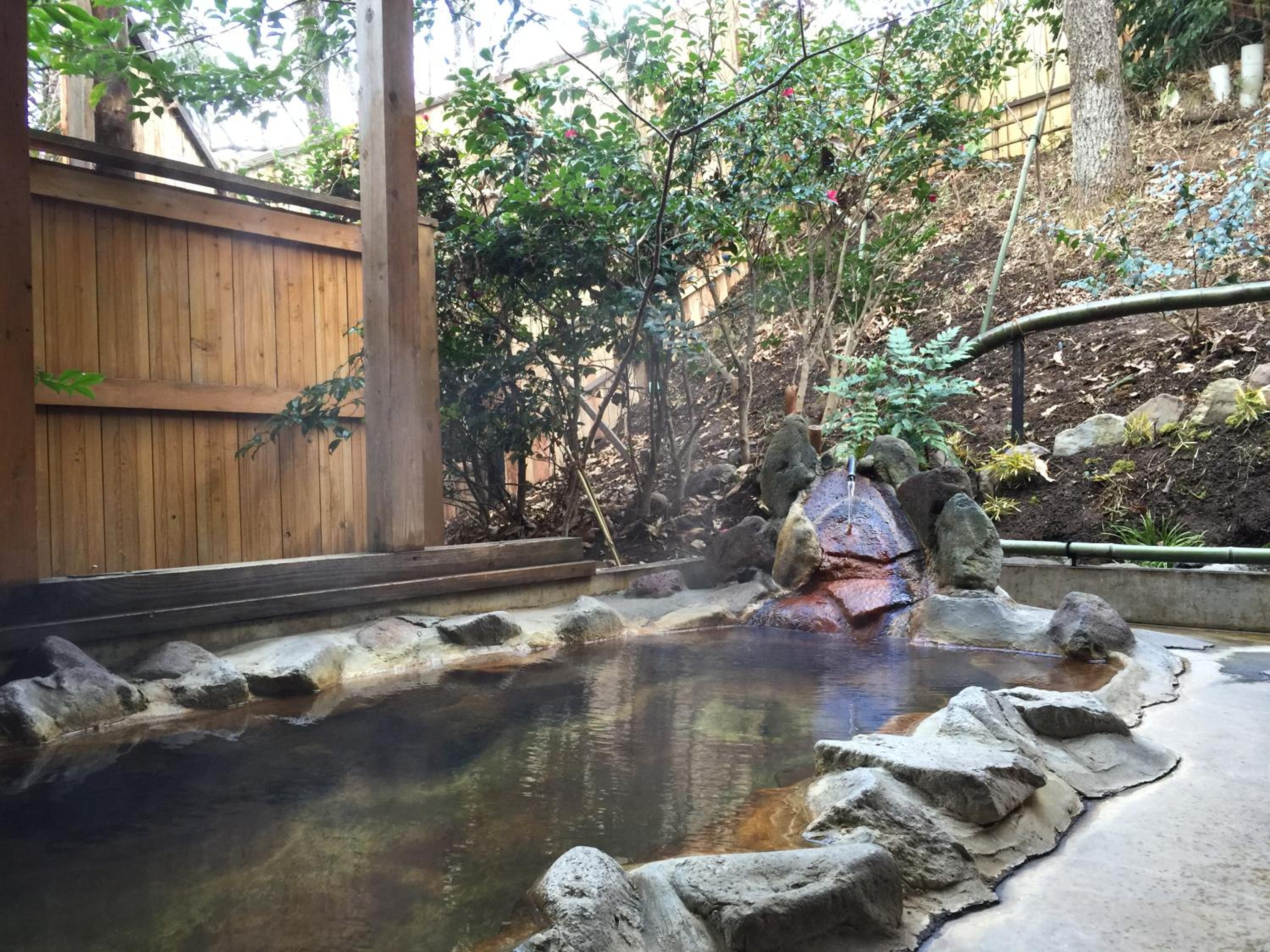 Kurasako Onsen Sakura