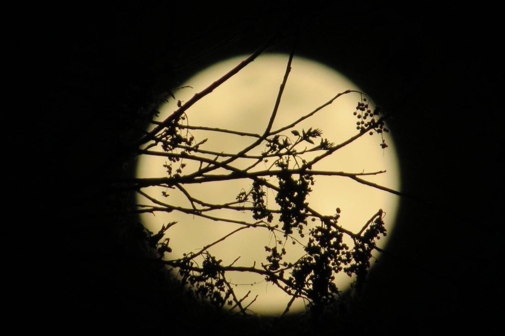 Pousada Luna Zen