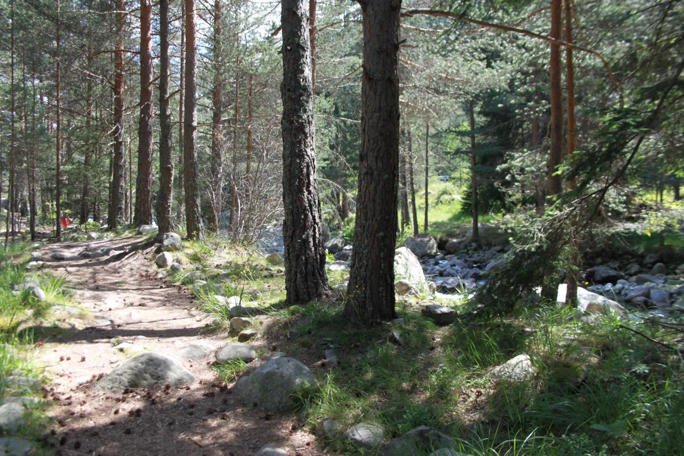 Photo 29