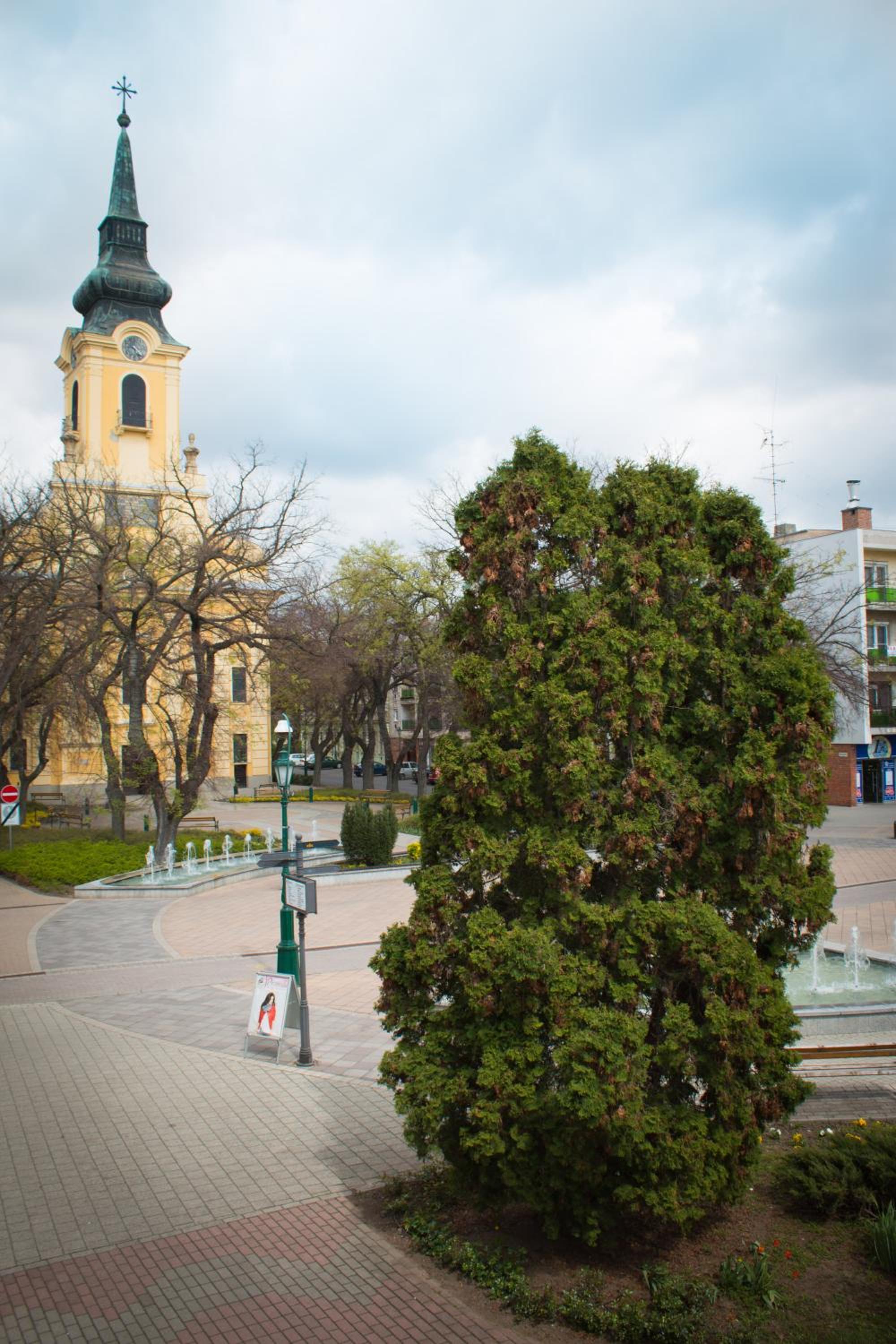 Photo 14