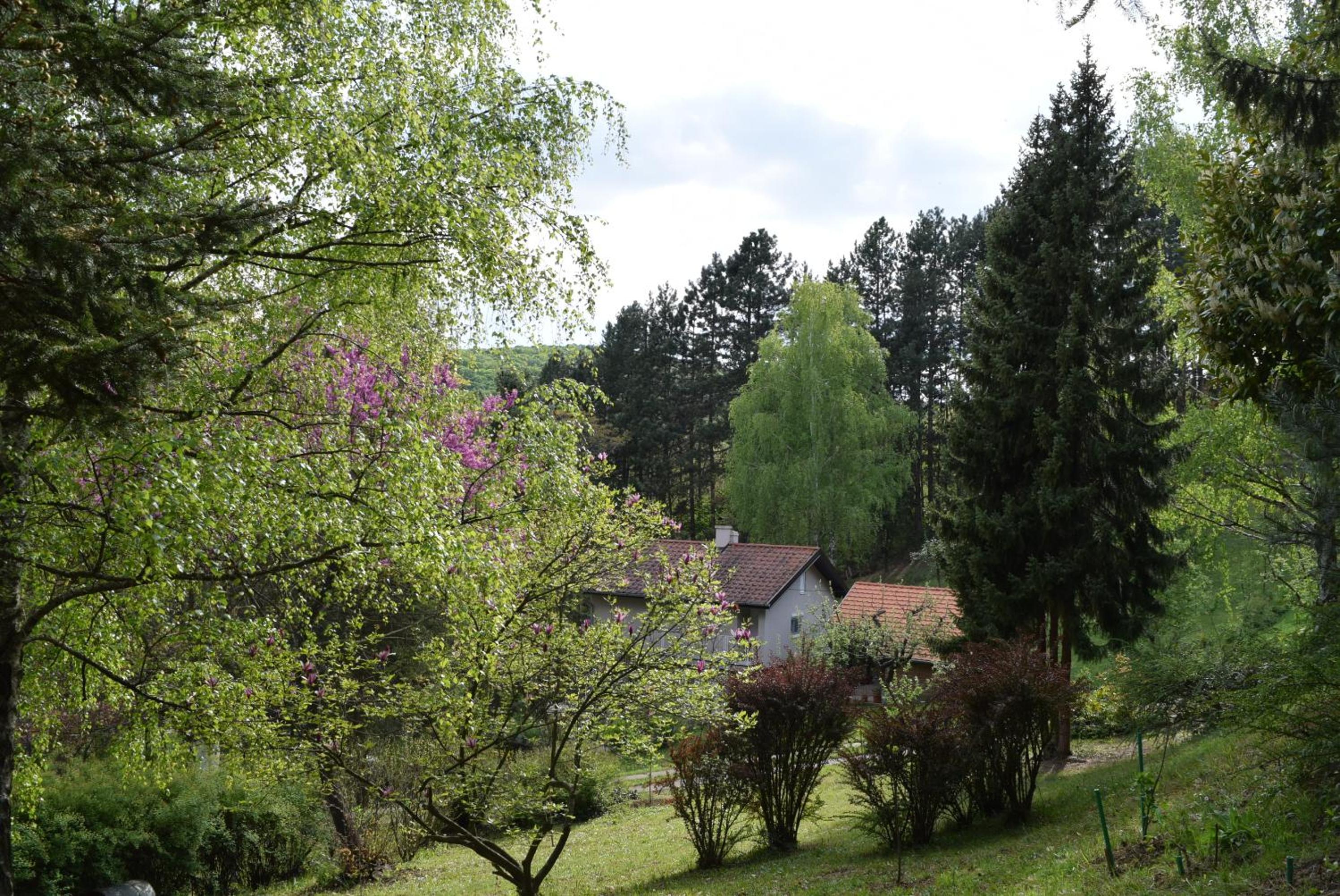 Photo 42