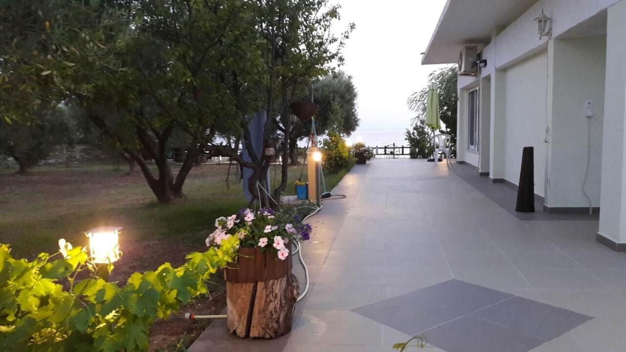 Photo 21