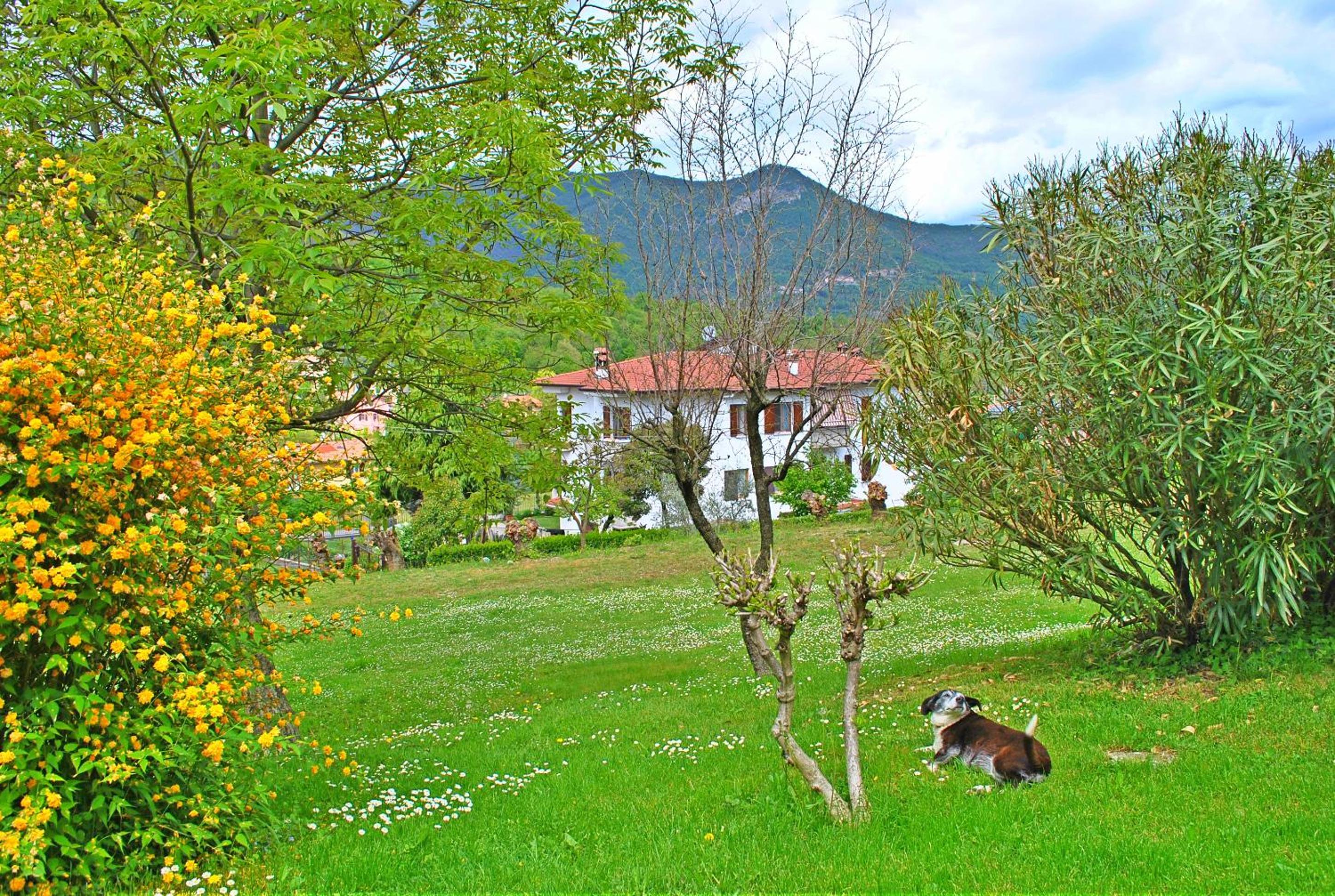 B&B Marienn, photo 6