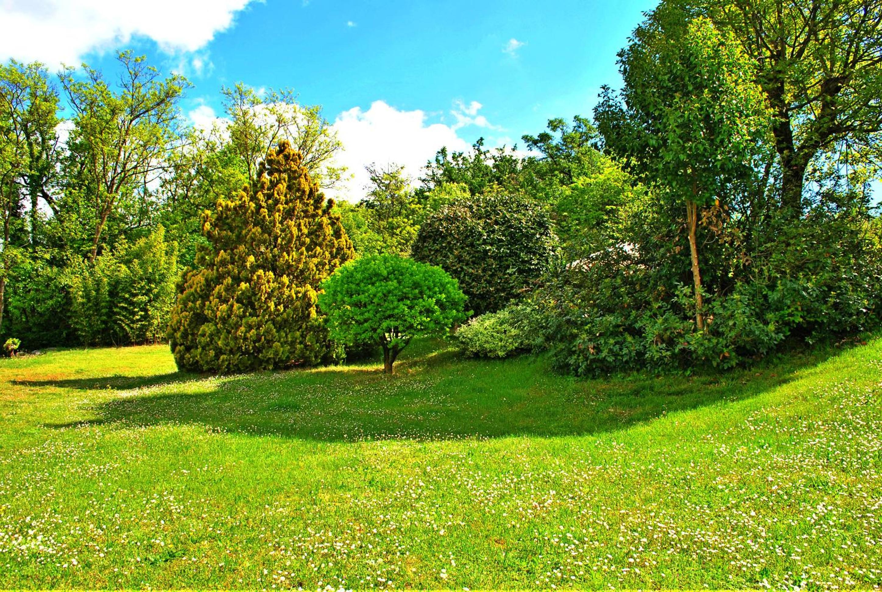 B&B Marienn, photo 20