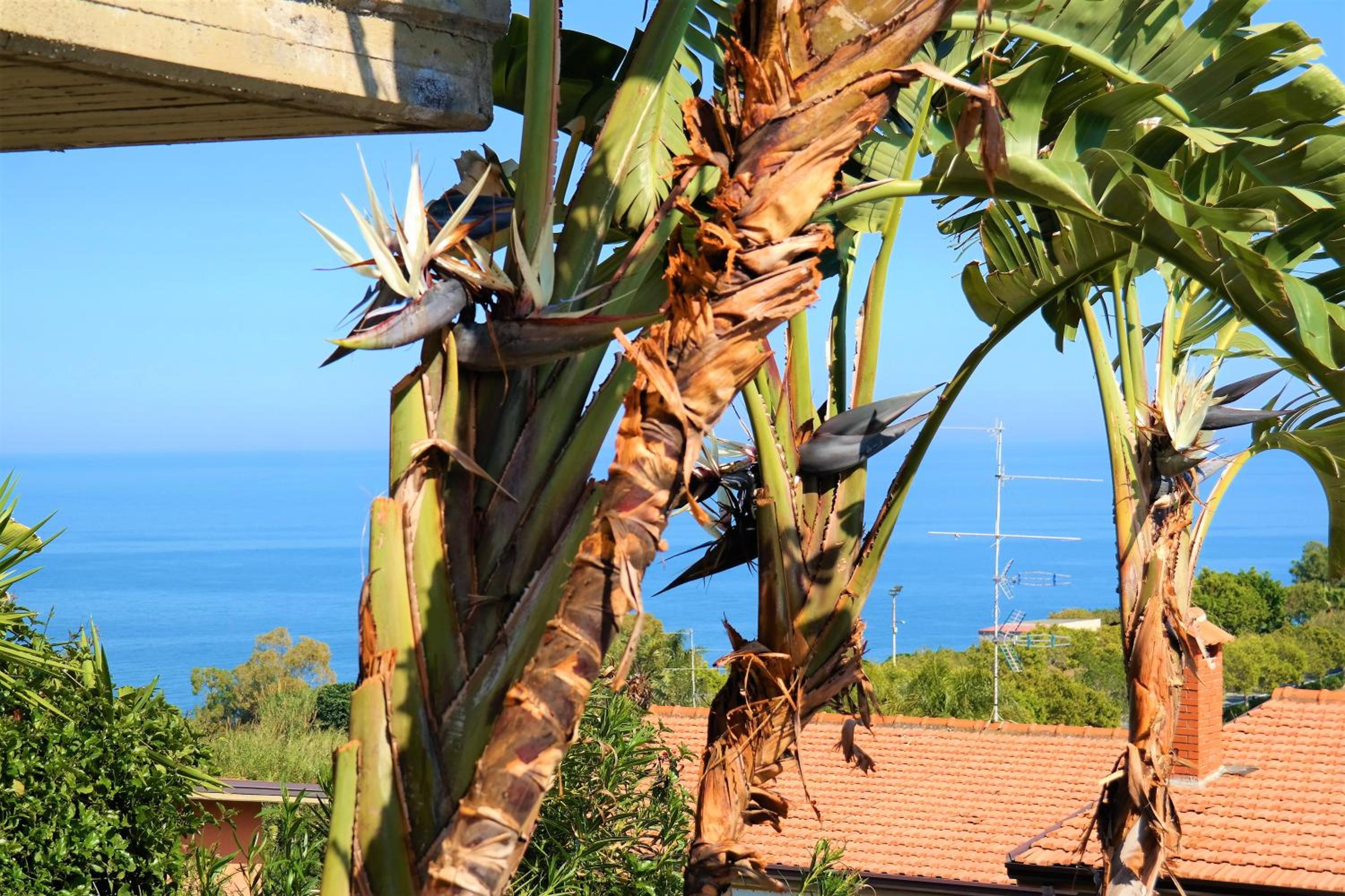 Villa Alba