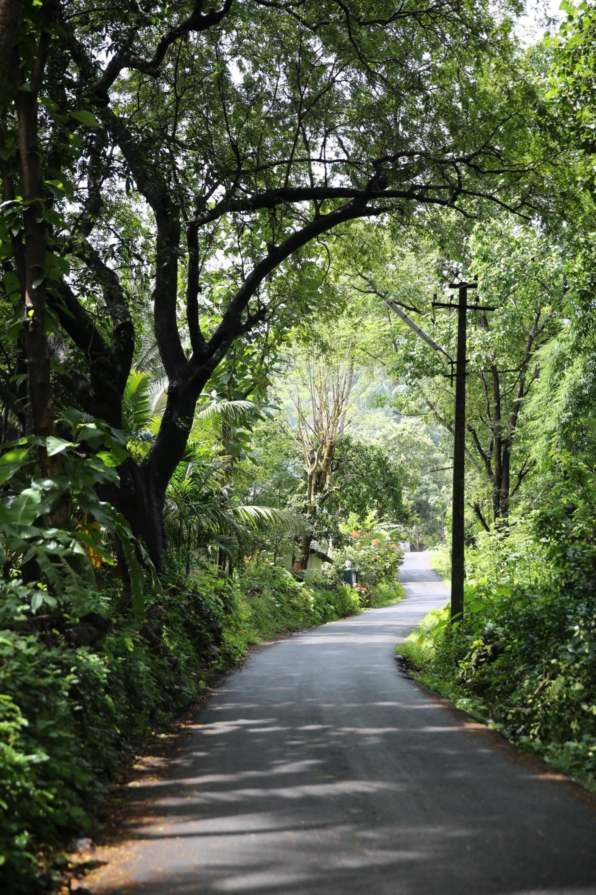 Lar Amorosa Boutique Hotel - Goa
