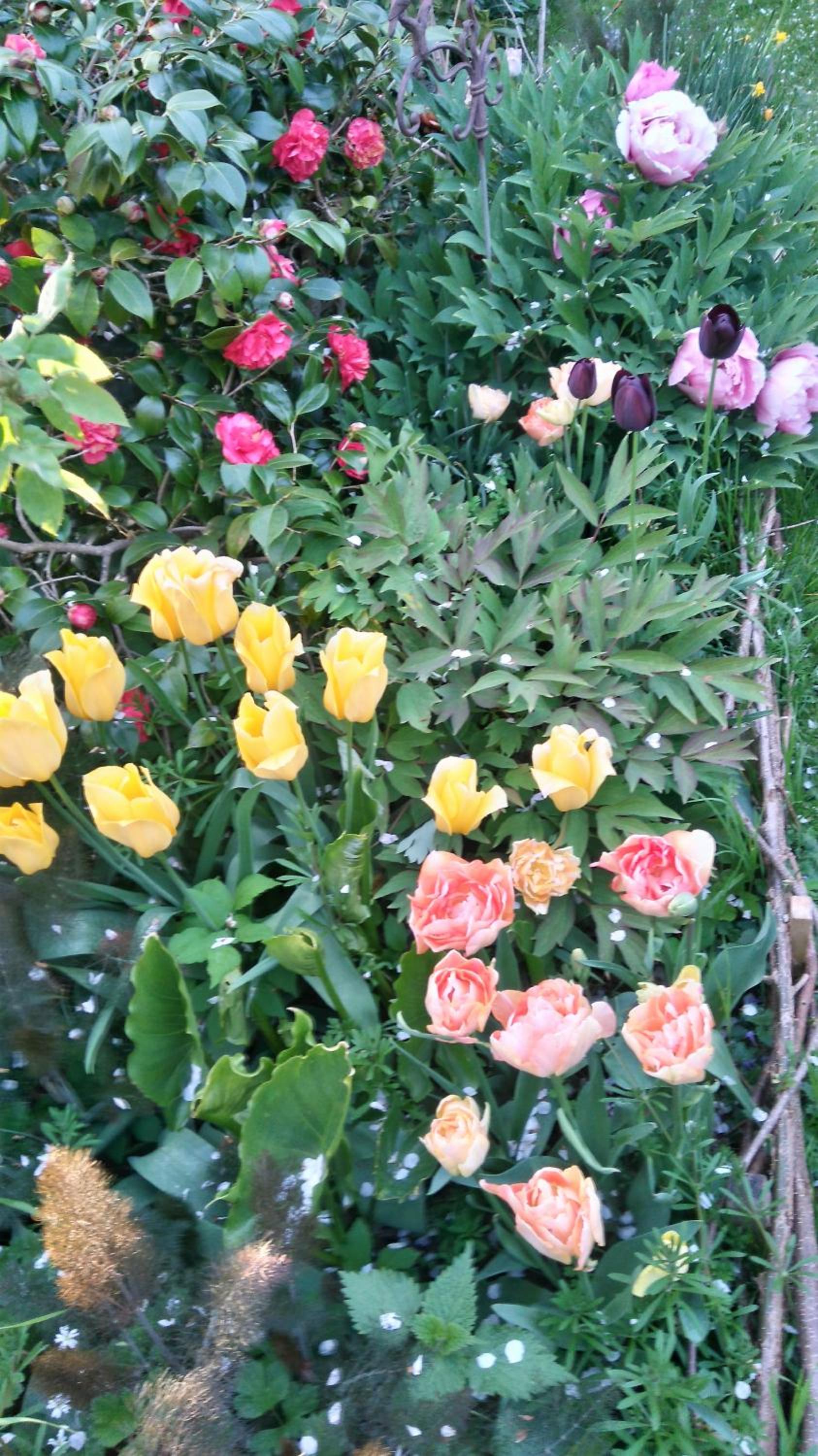 Photo 15