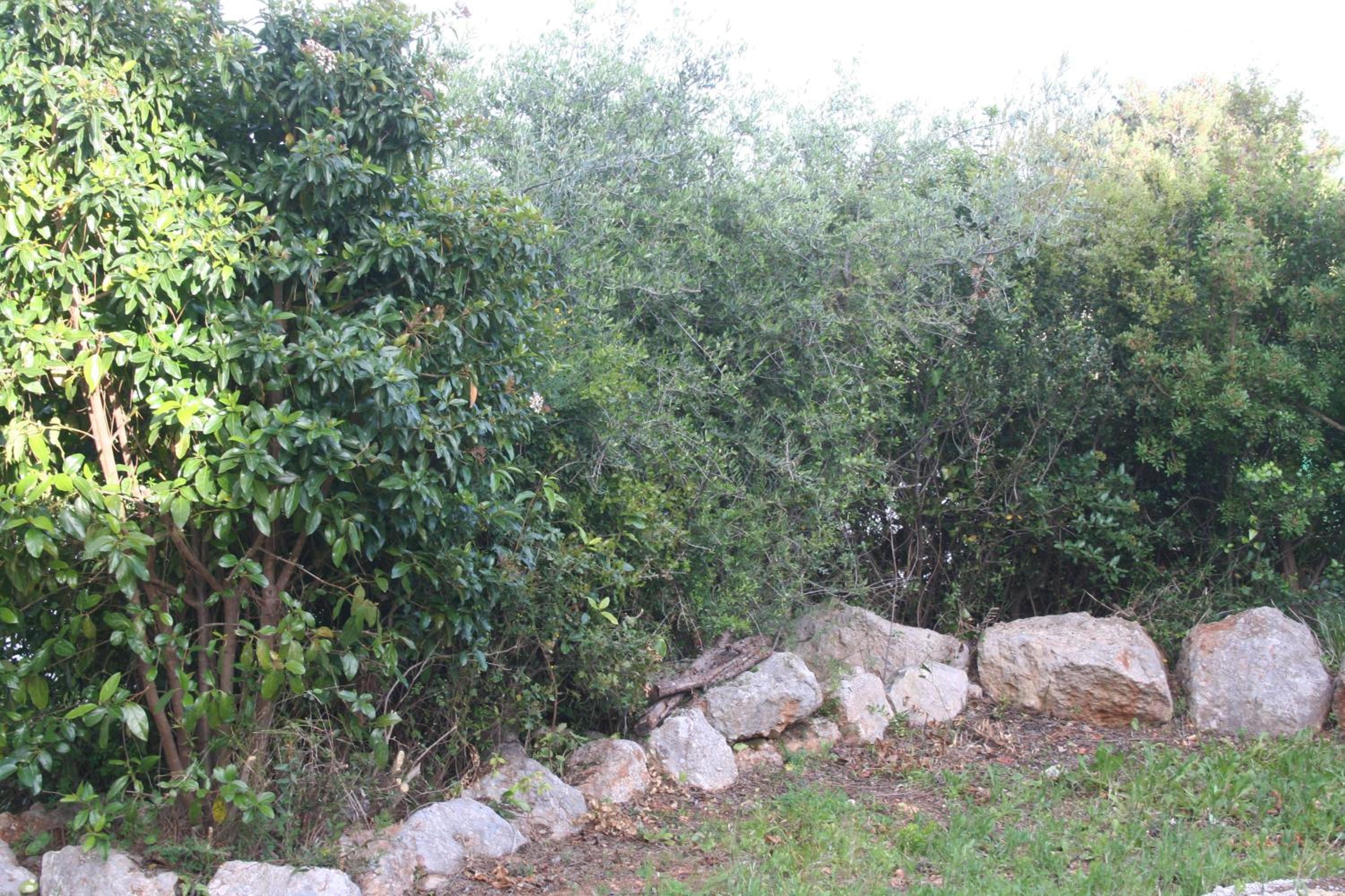 Photo 35