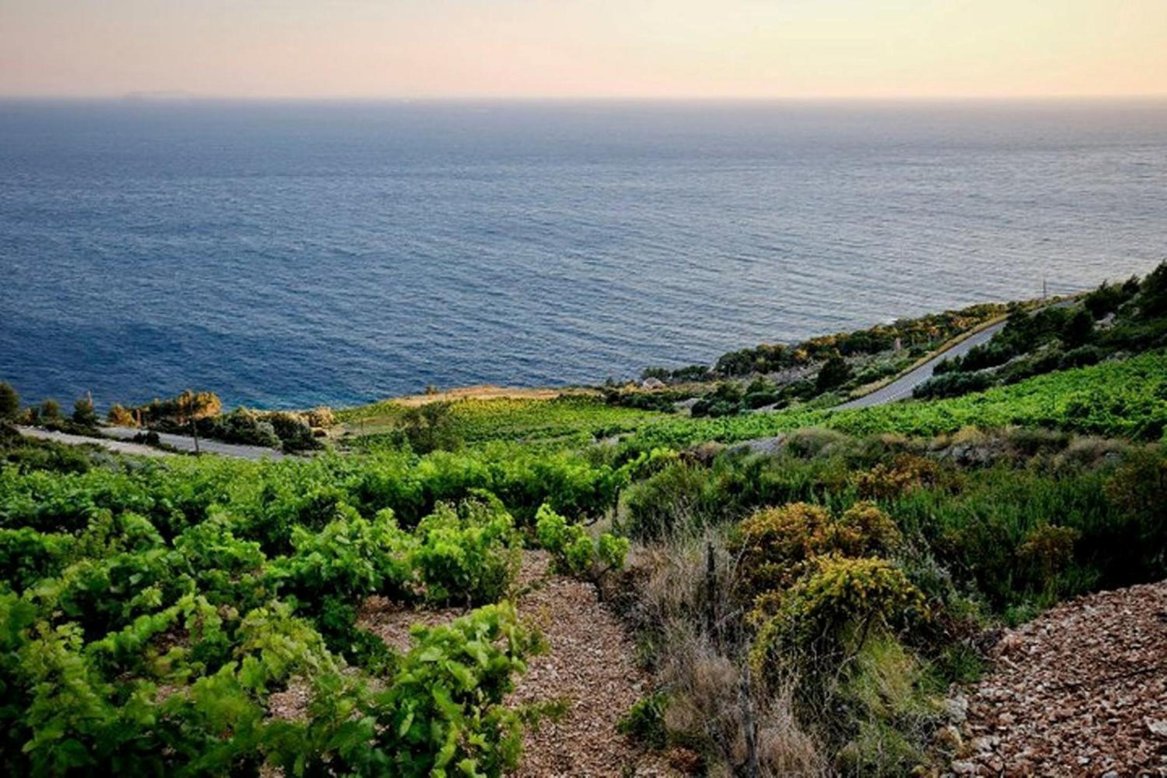 Holiday Getaway Caric view 3