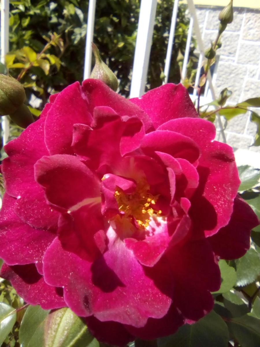 Photo 28