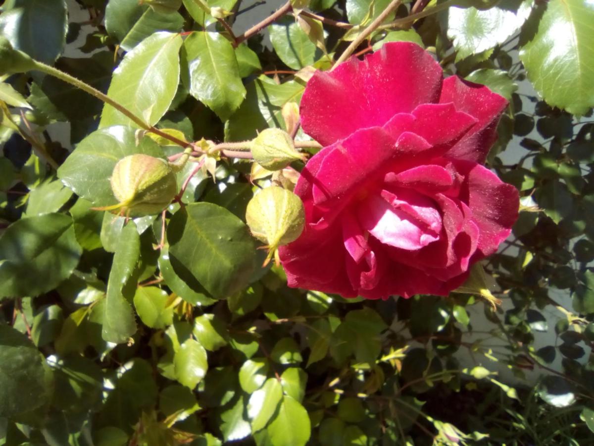 Photo 22