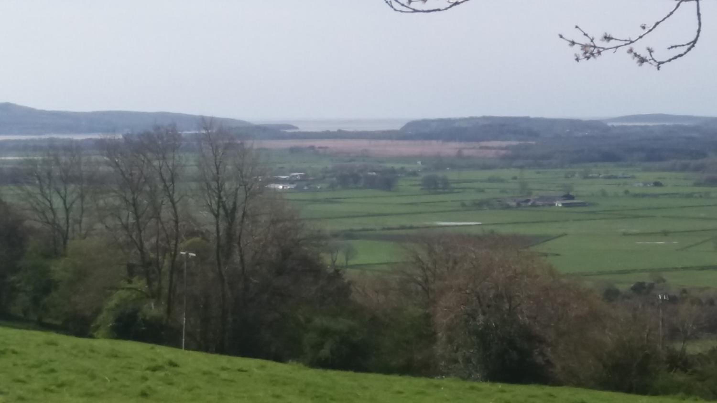 Plumtree House