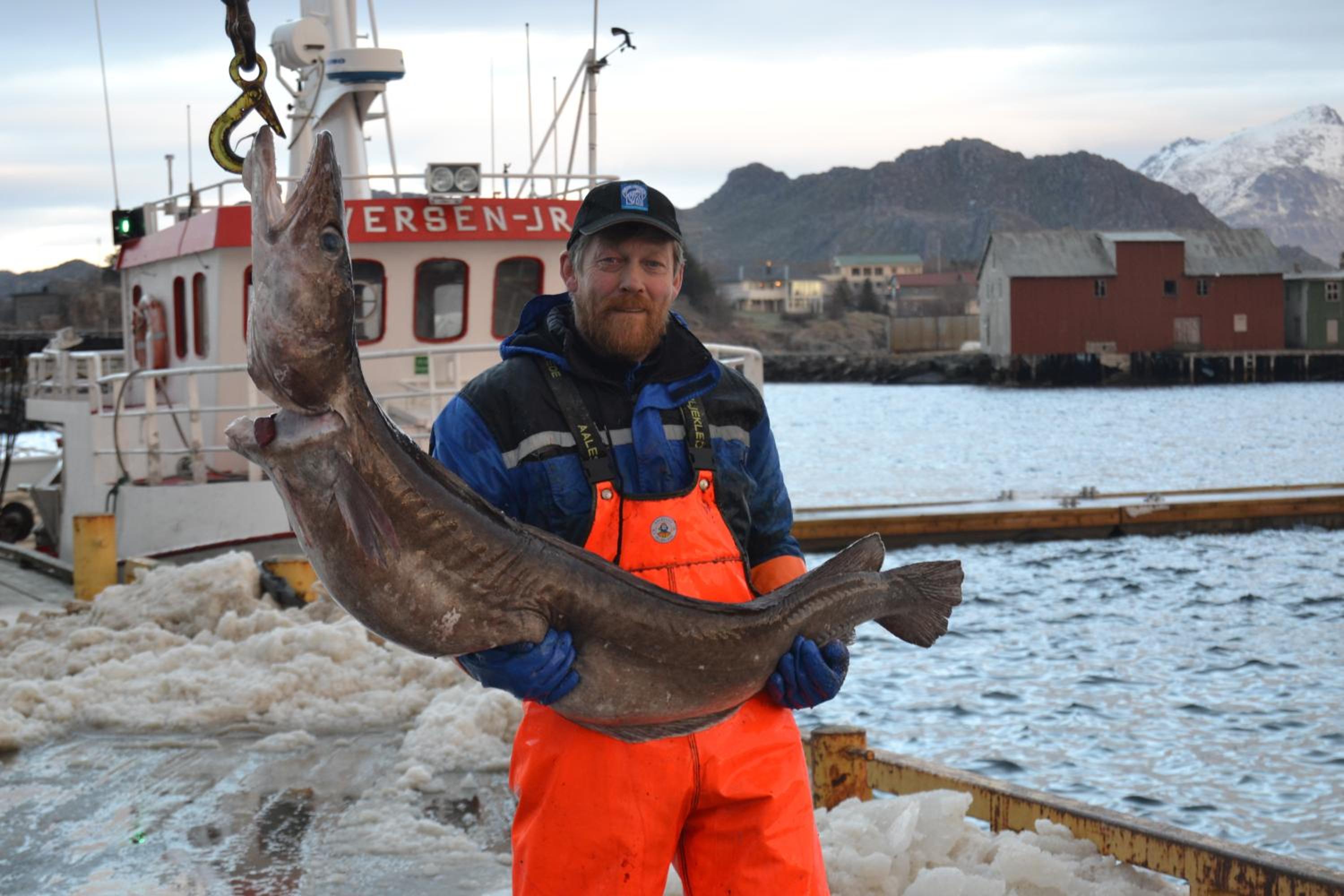 Sjøstrand Rorbuer