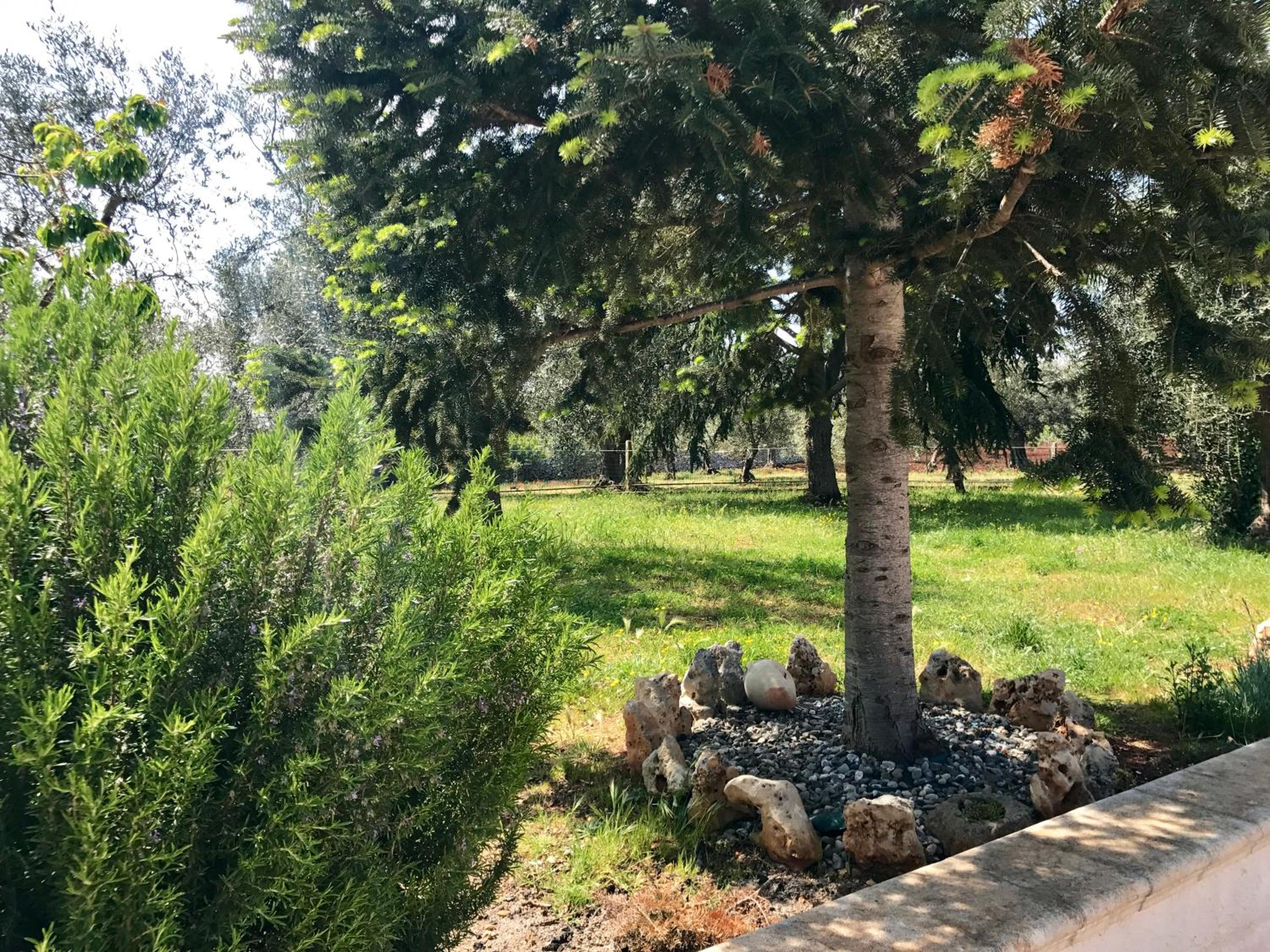 Il Trullo di Giulietta